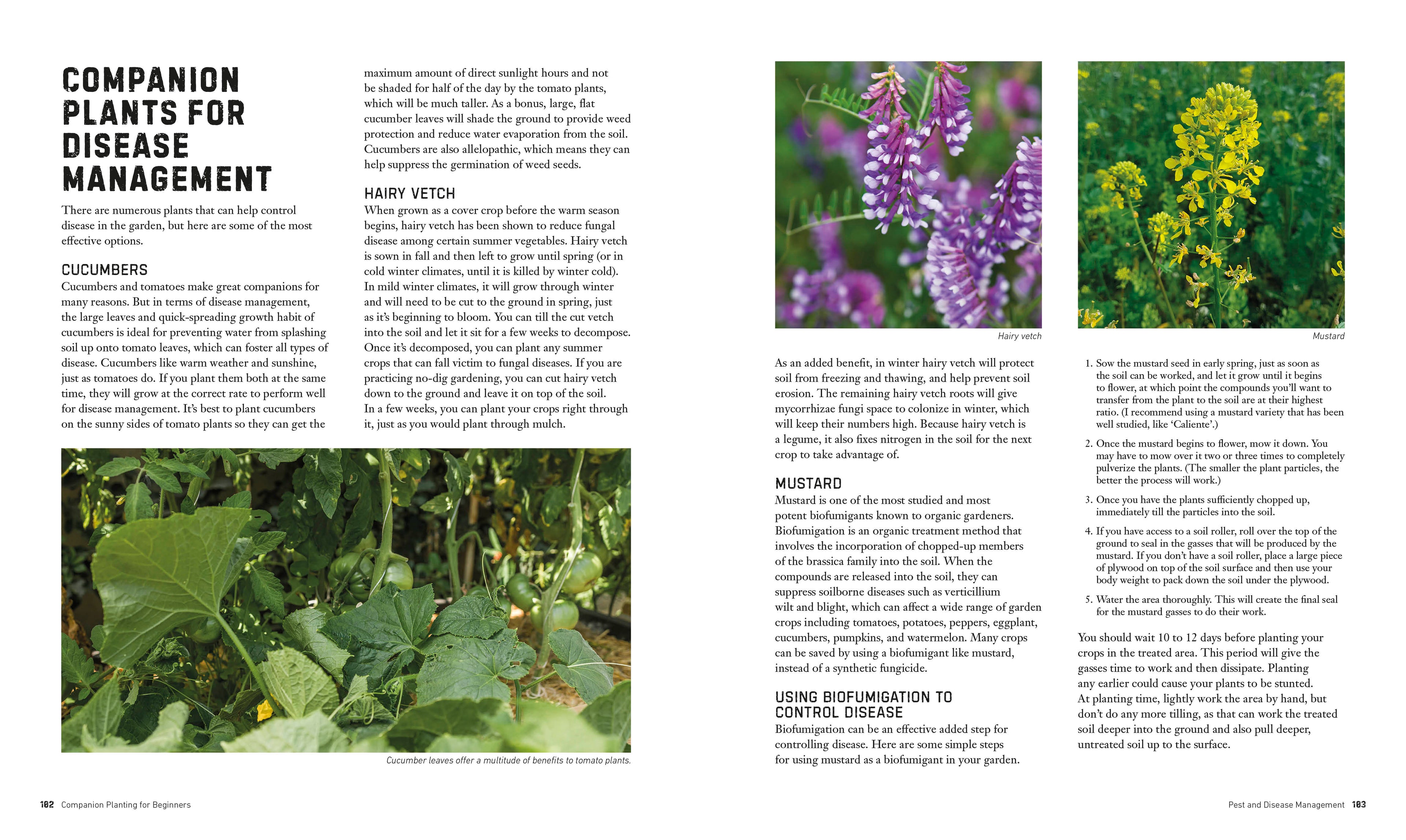 Companion Planting for Beginners-Spread, Image, (PRHC, Design, Do, Not, Use)-4