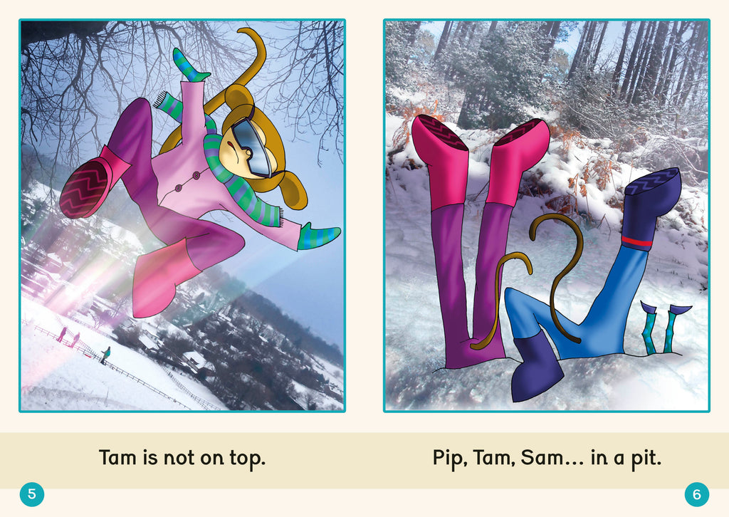 Phonic Books Dandelion Readers Set 3 Units 1-10-image