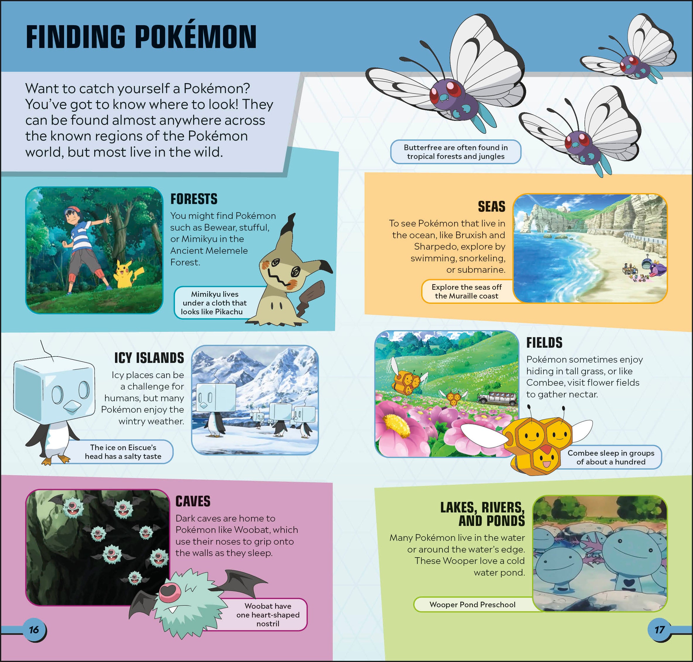 Pokémon Pocket Expert