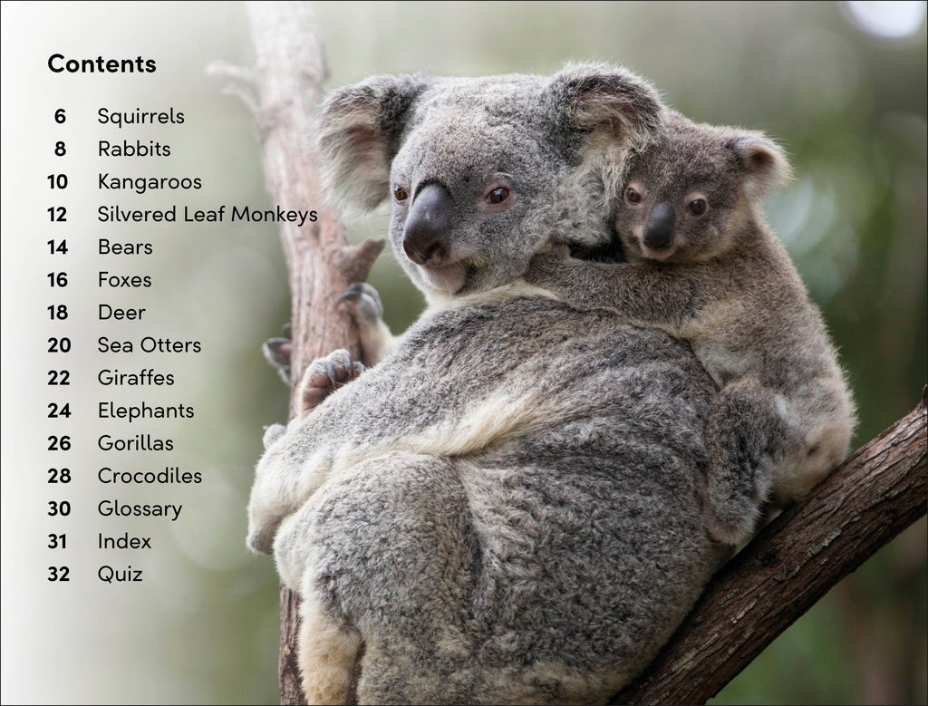 DK Super Readers Level 2 Wild Baby Animals