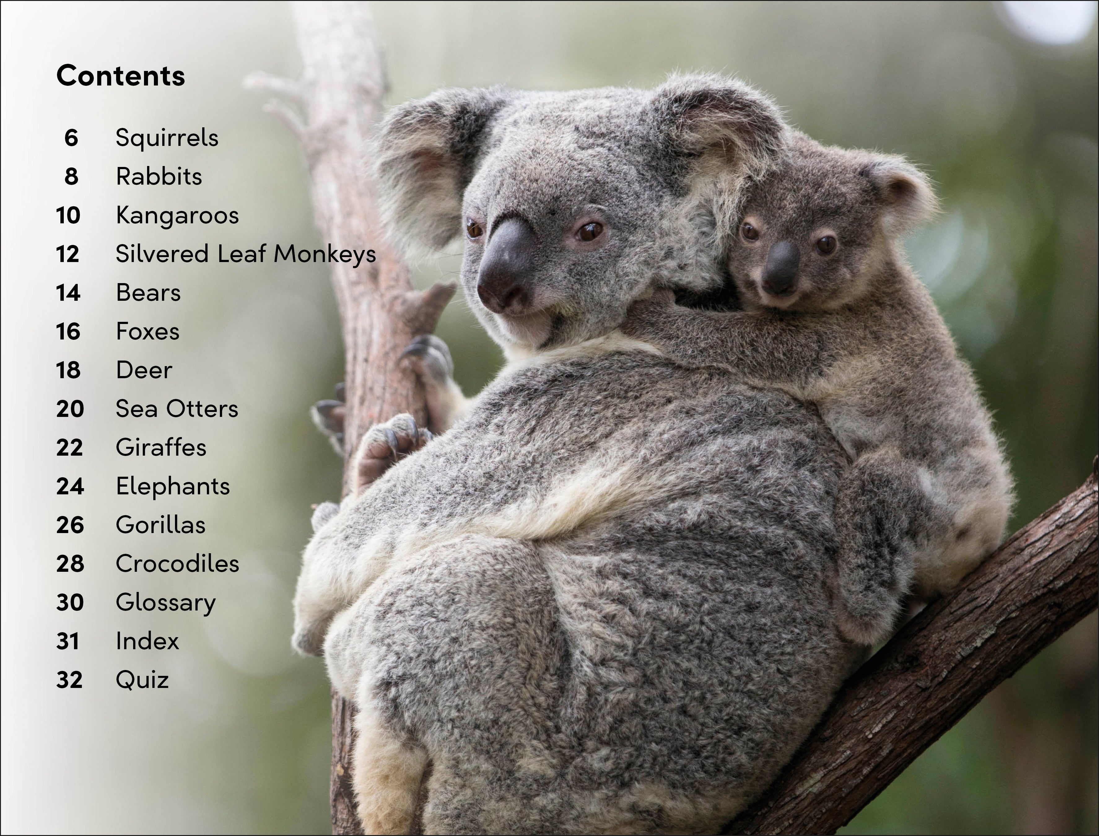 DK Super Readers Level 2 Wild Baby Animals