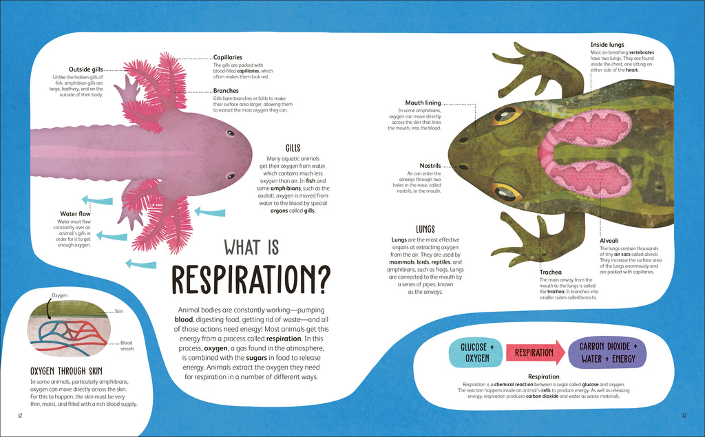 The Animal Body Book-Spread, Image, (PRHC, Design, Do, Not, Use)-20