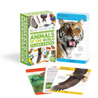 Our World in Pictures Animals of the World Flash Cards cover