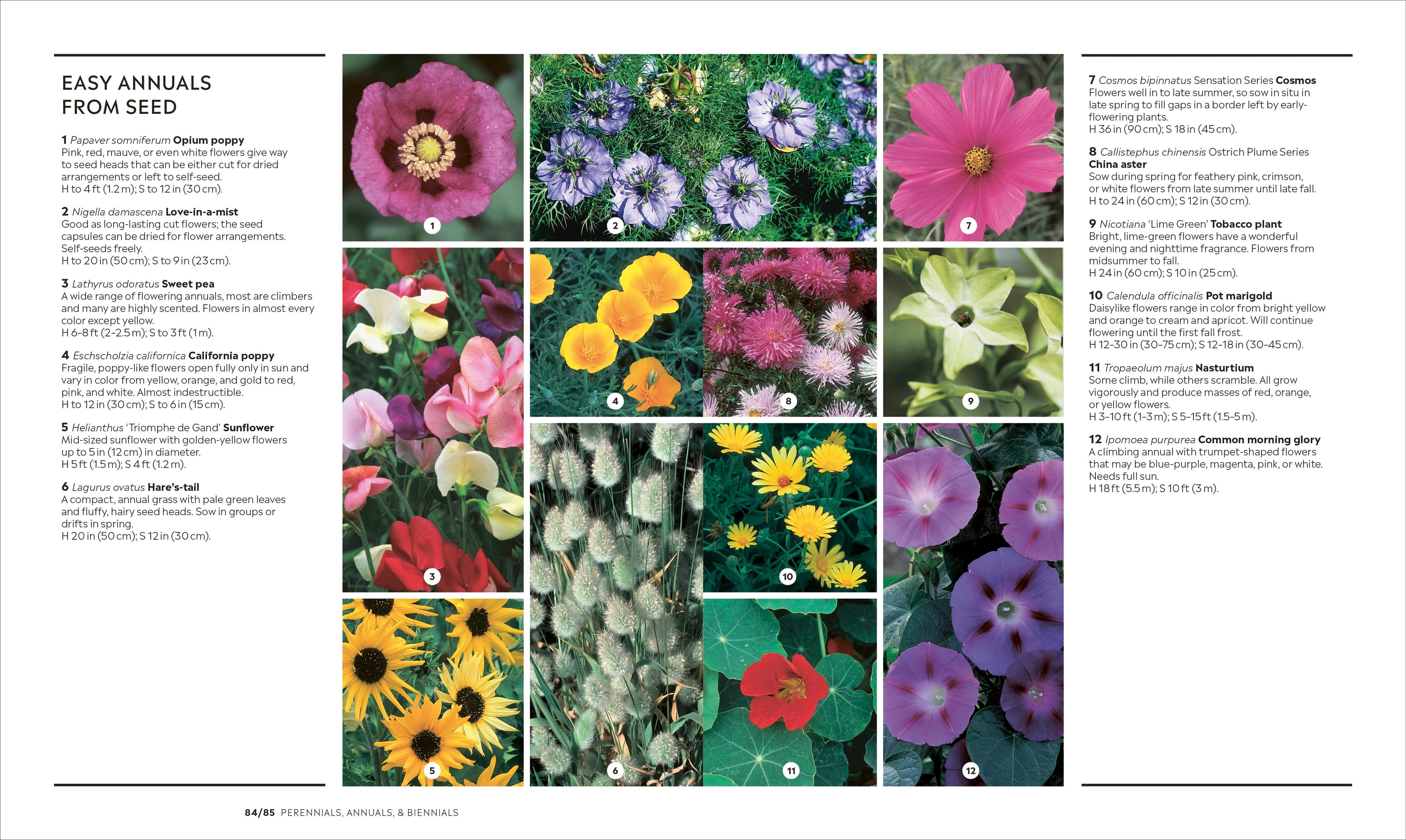 How to Garden, New Edition