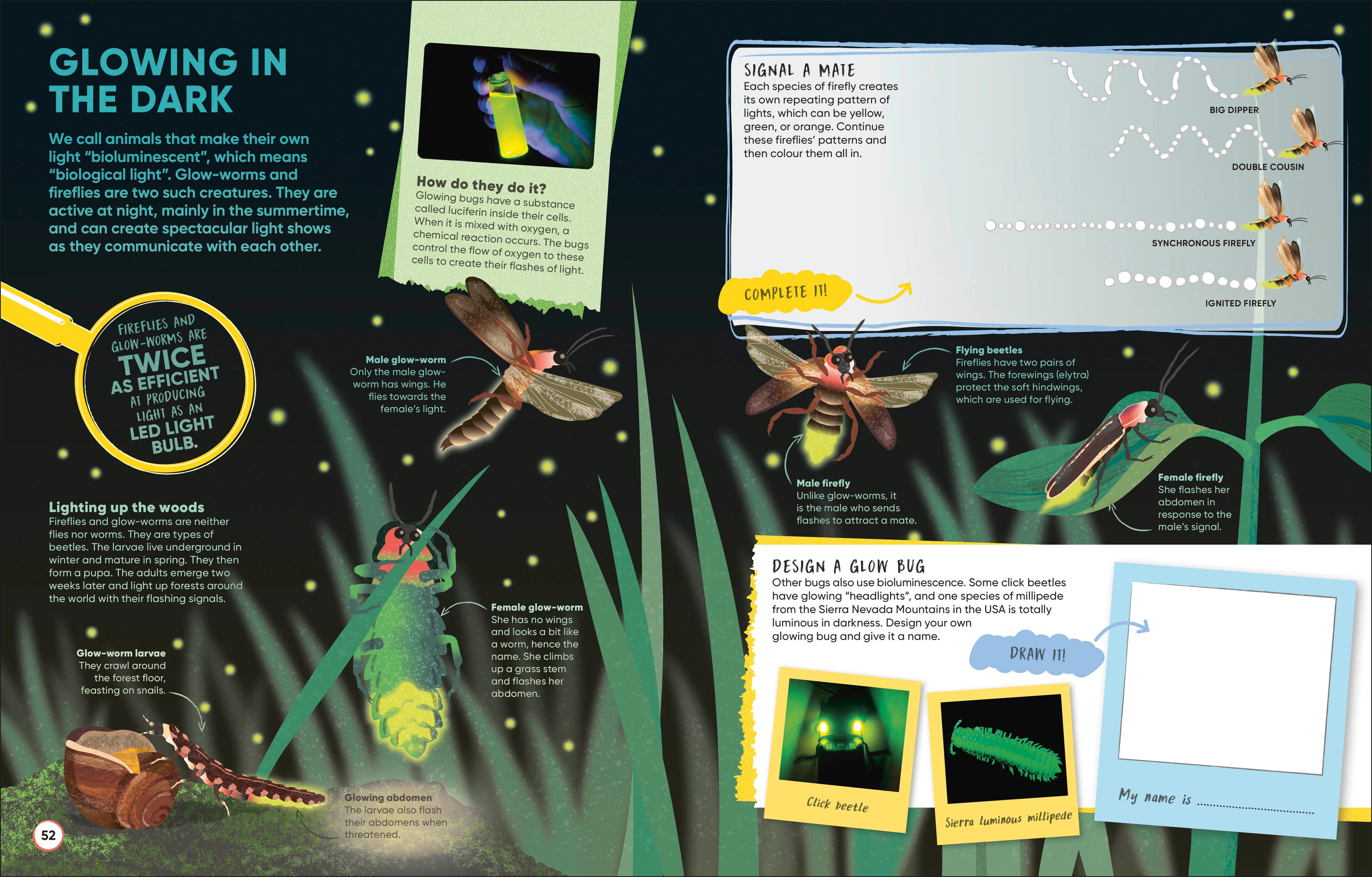 Brain Booster Bugs-Spread, Image, (PRHC, Design, Do, Not, Use)-5