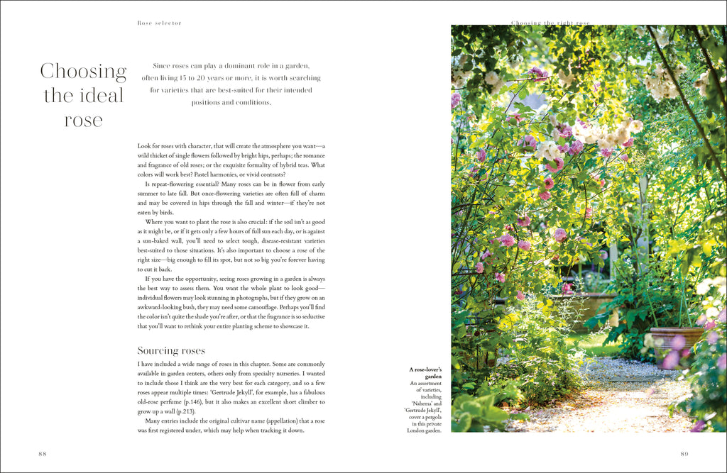 Roses-Spread, Image, (PRHC, Design, Do, Not, Use)-13