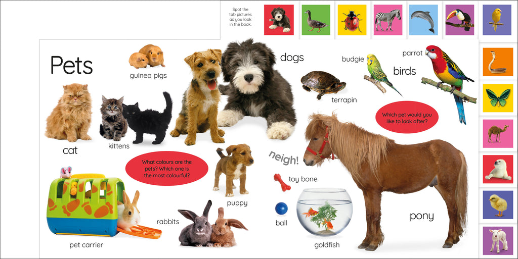 My First Animals: Let's Squeak and Squawk!-spread image