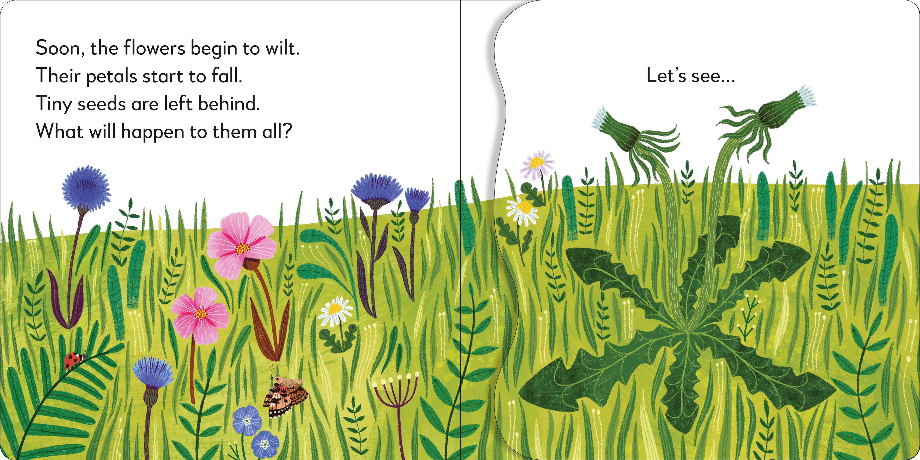 Pop-Up Peekaboo! Flower