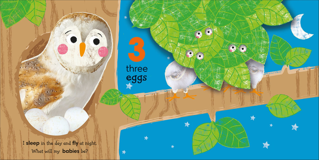 Flip, Flap, Find! Counting 1, 2, 3