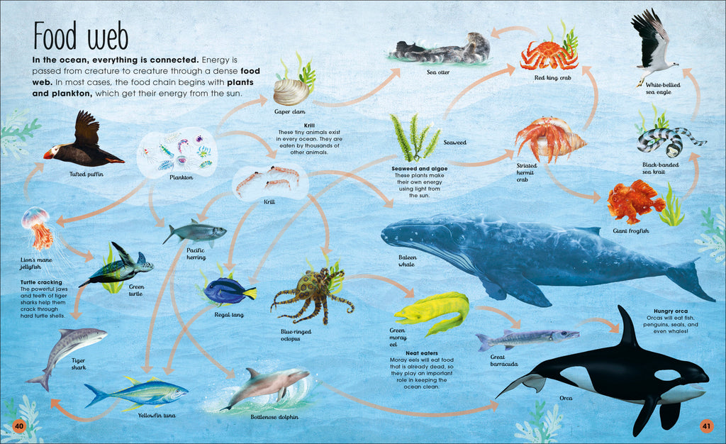 Earth's Incredible Oceans