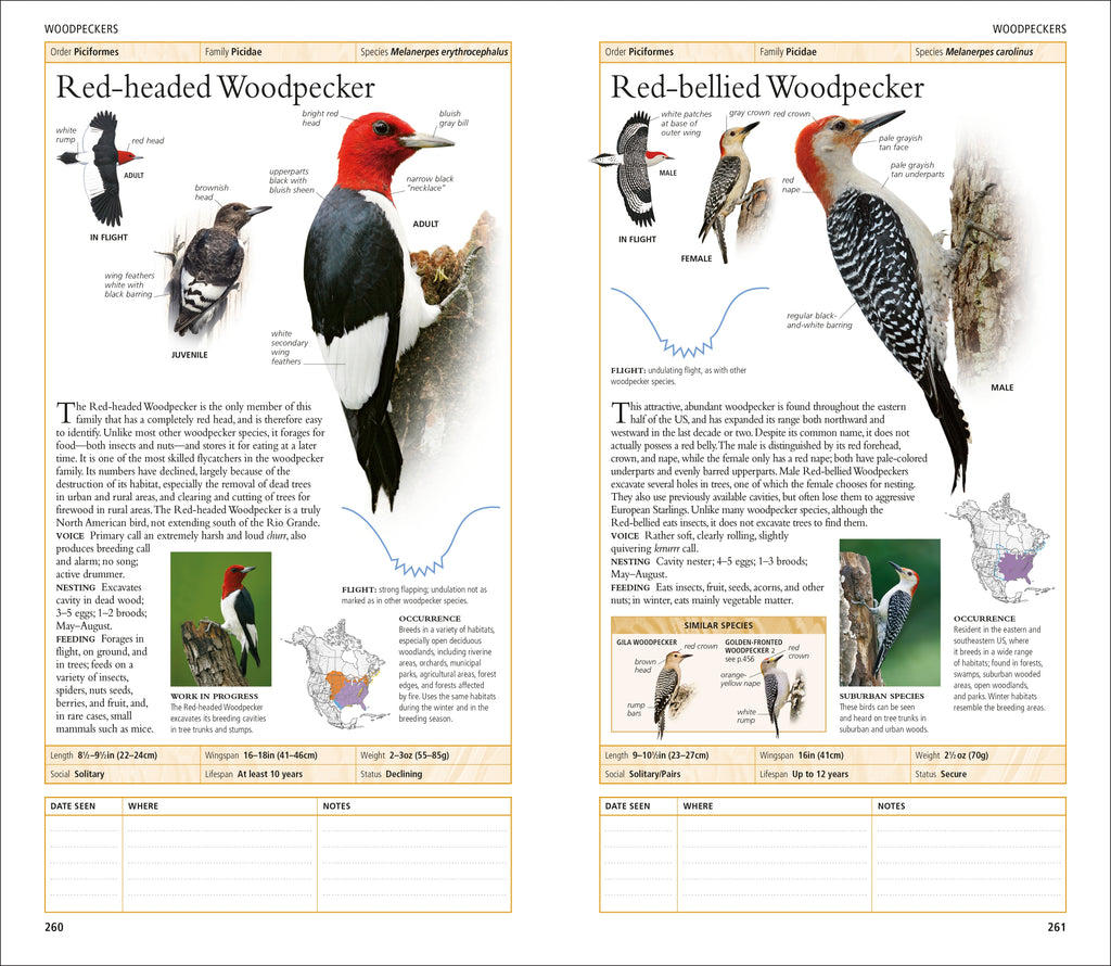AMNH Birds of North America Eastern