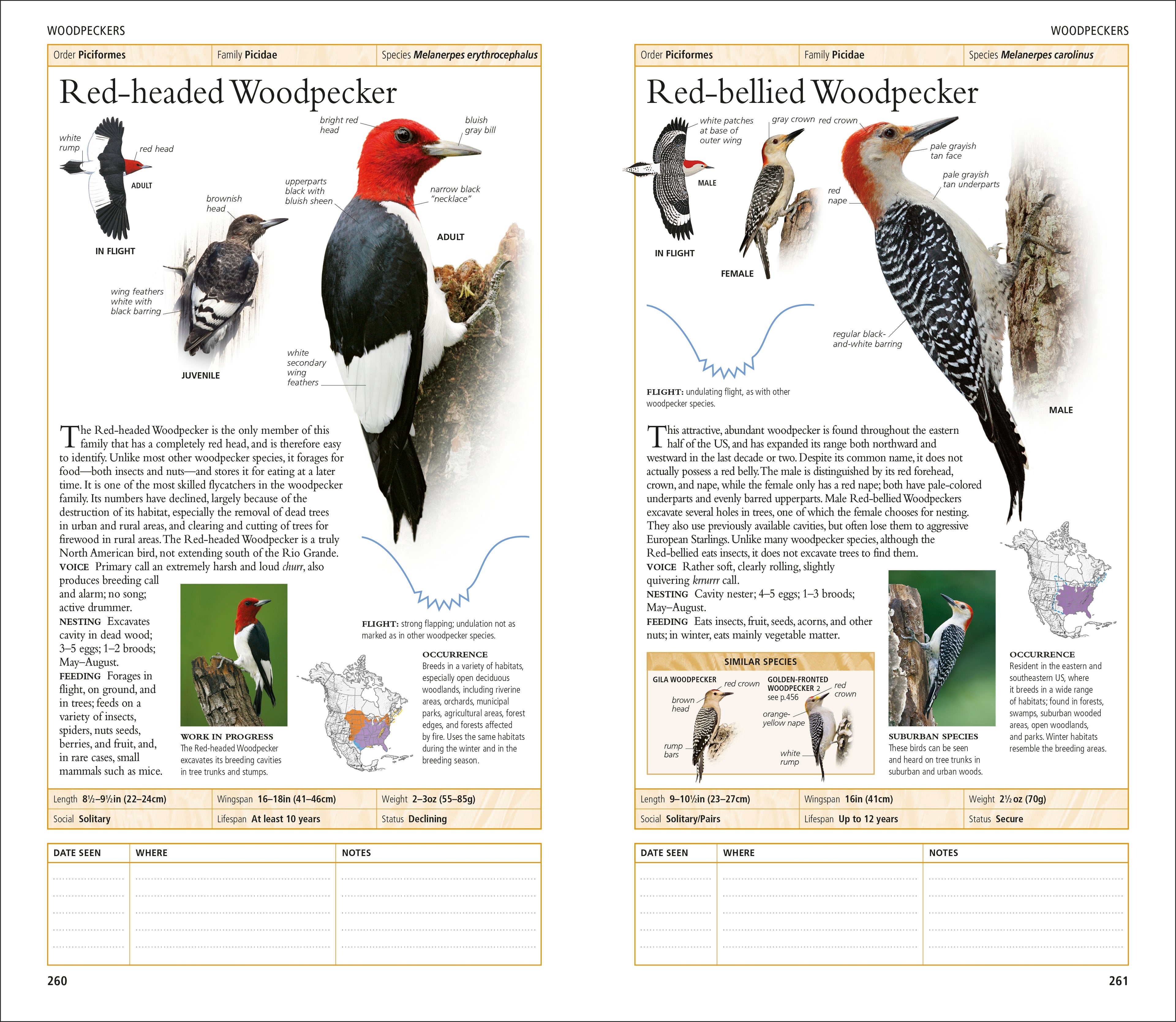 AMNH Birds of North America Eastern