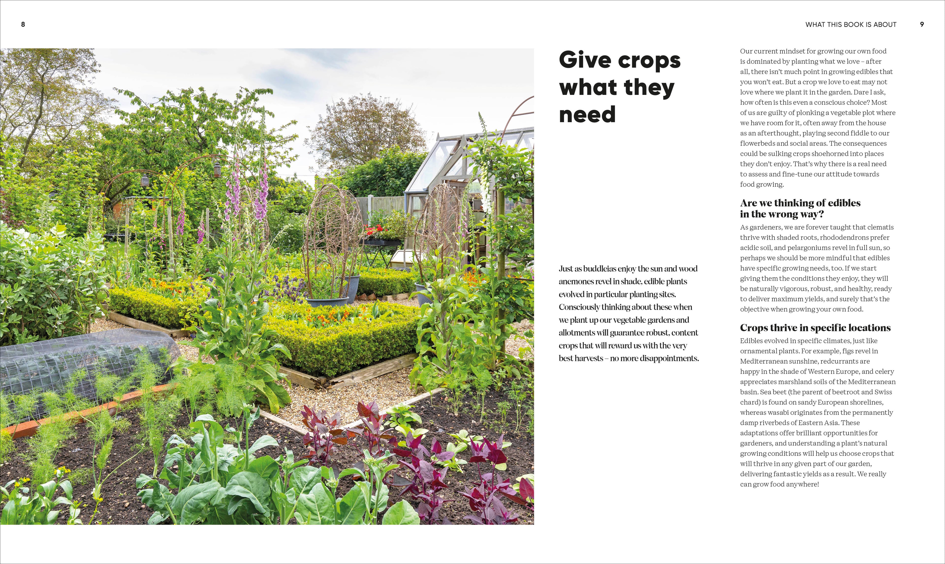 Grow Food Anywhere-Spread, Image, (PRHC, Design, Do, Not, Use)-2