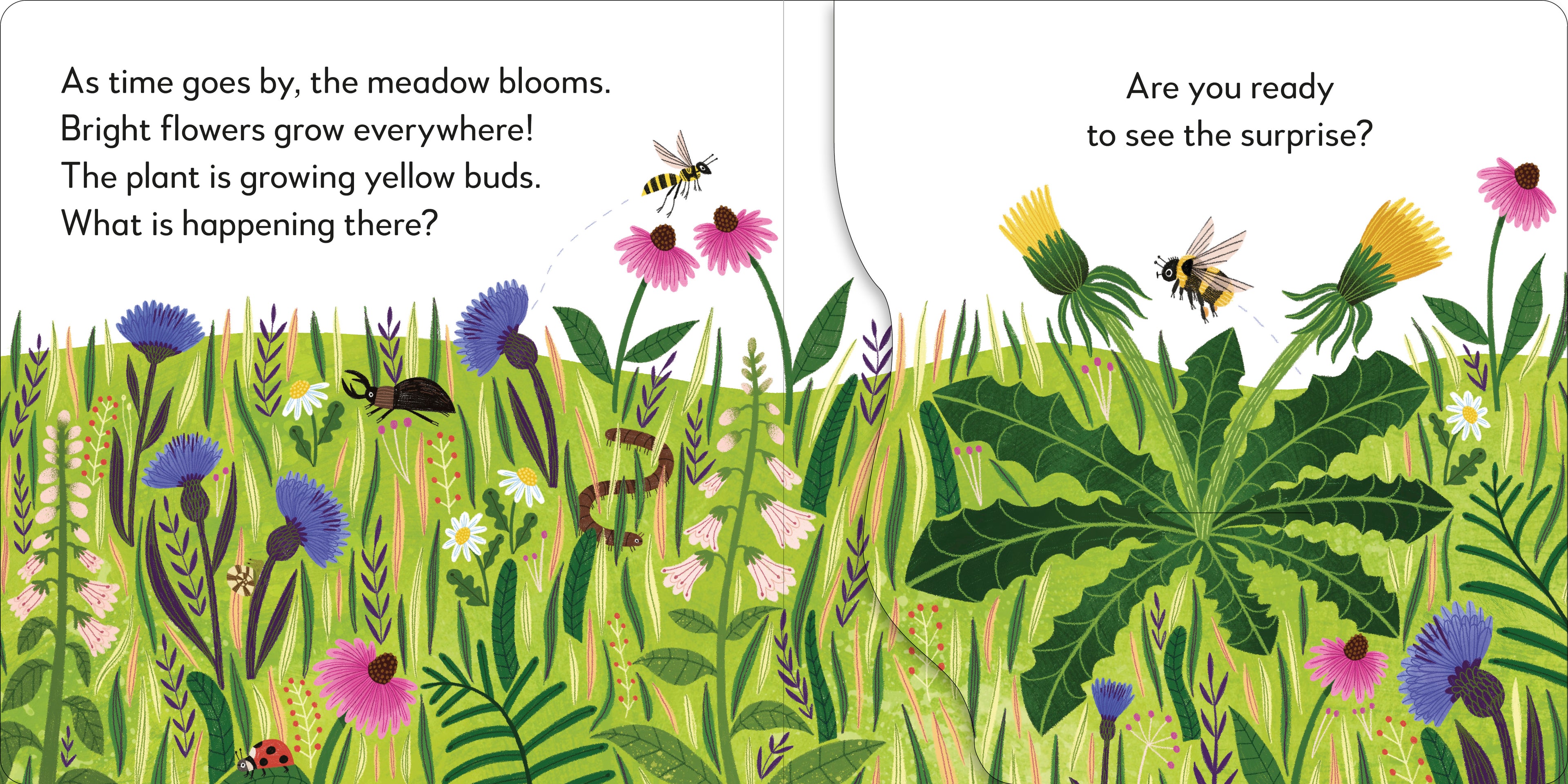 Pop-Up Peekaboo! Flower