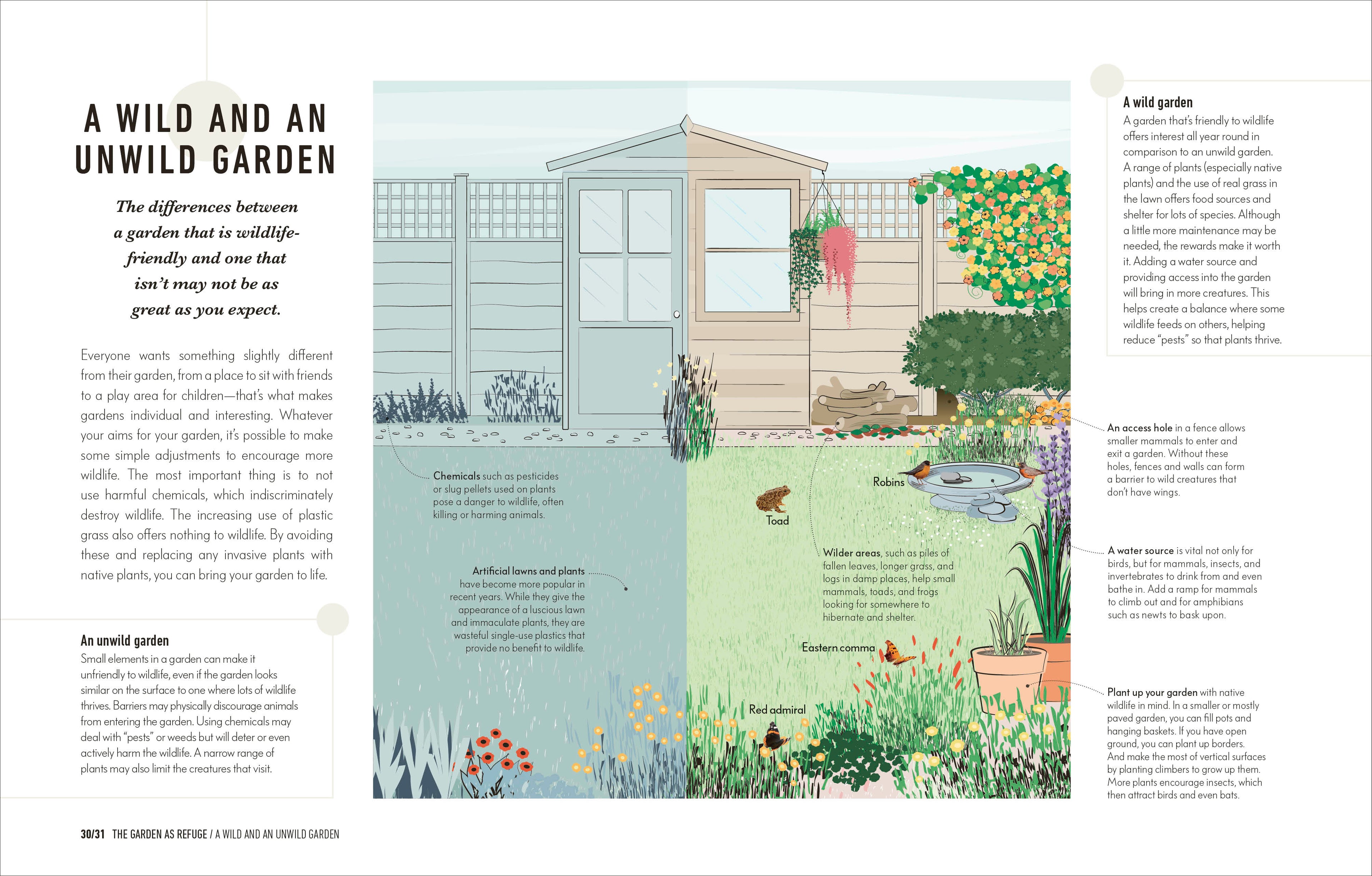 How to Attract Wildlife to Your Garden-image
