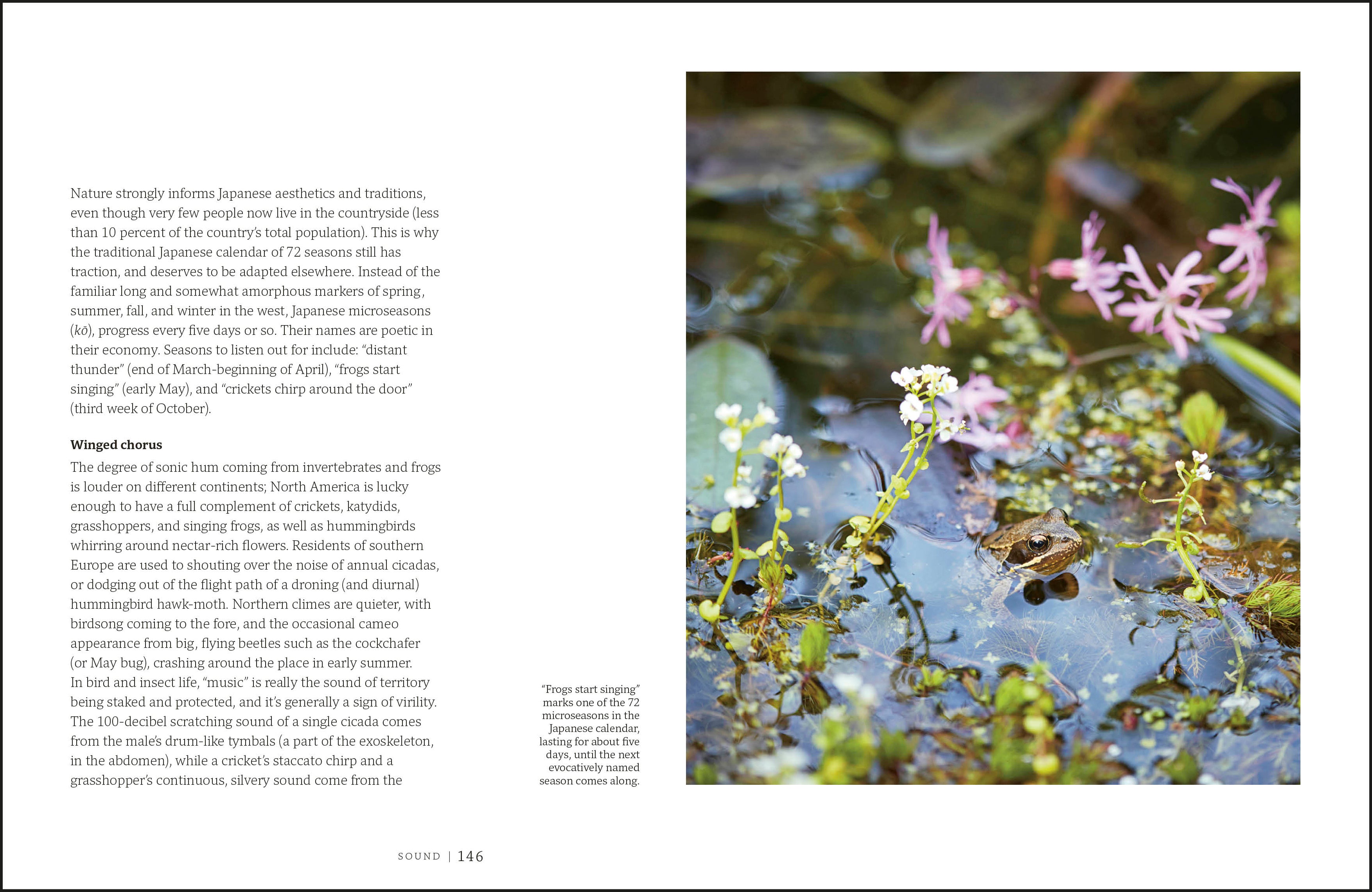 Garden for the Senses-Spread, Image, (PRHC, Design, Do, Not, Use)-9