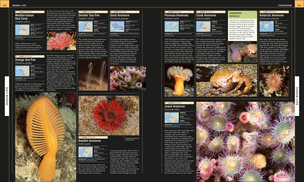 Ocean-Spread, Image, (PRHC, Design, Do, Not, Use)-5