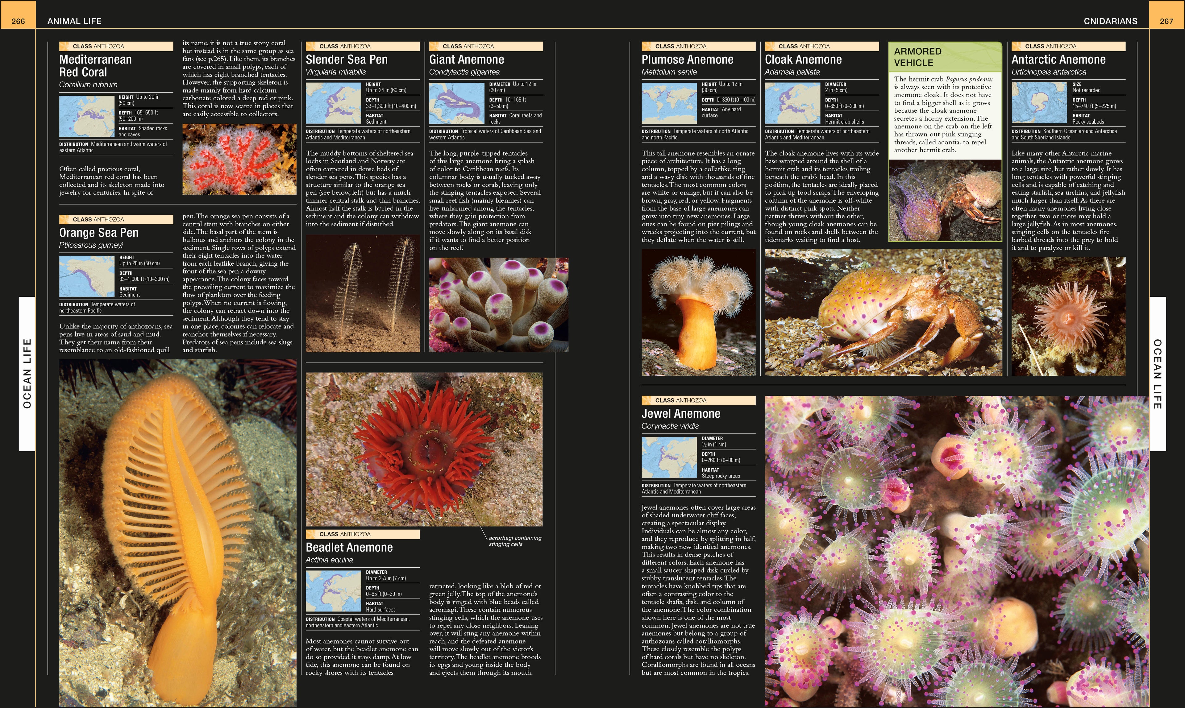 Ocean-Spread, Image, (PRHC, Design, Do, Not, Use)-5