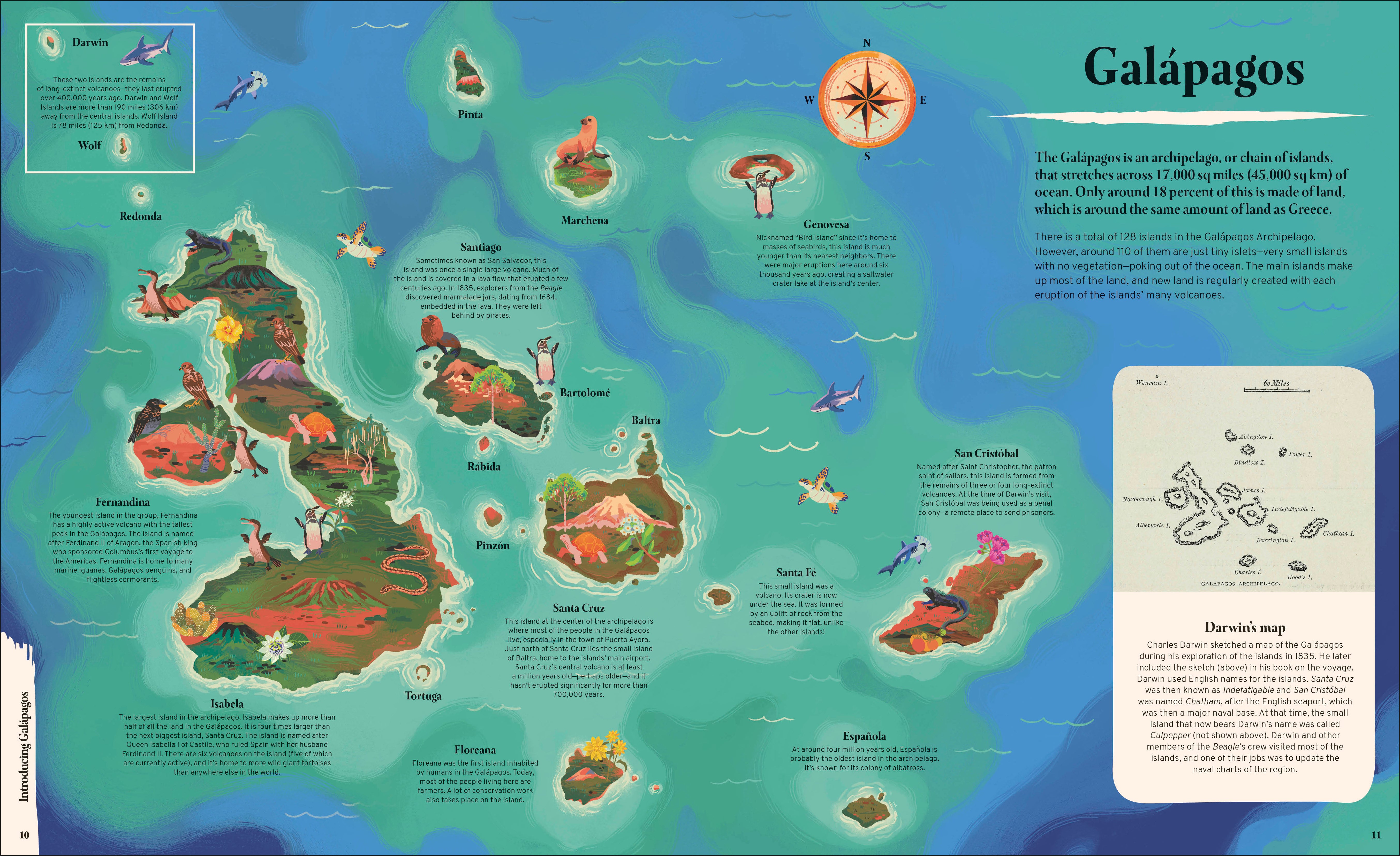 Galapagos – DK