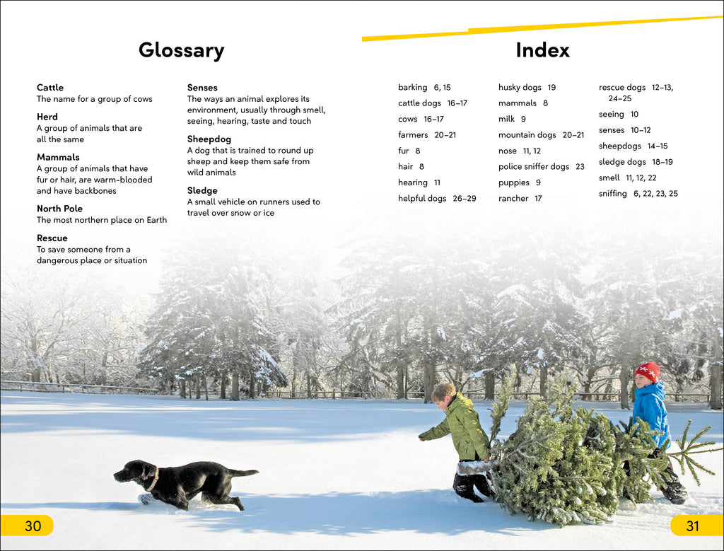 DK Super Readers Level 2 Amazing Dogs