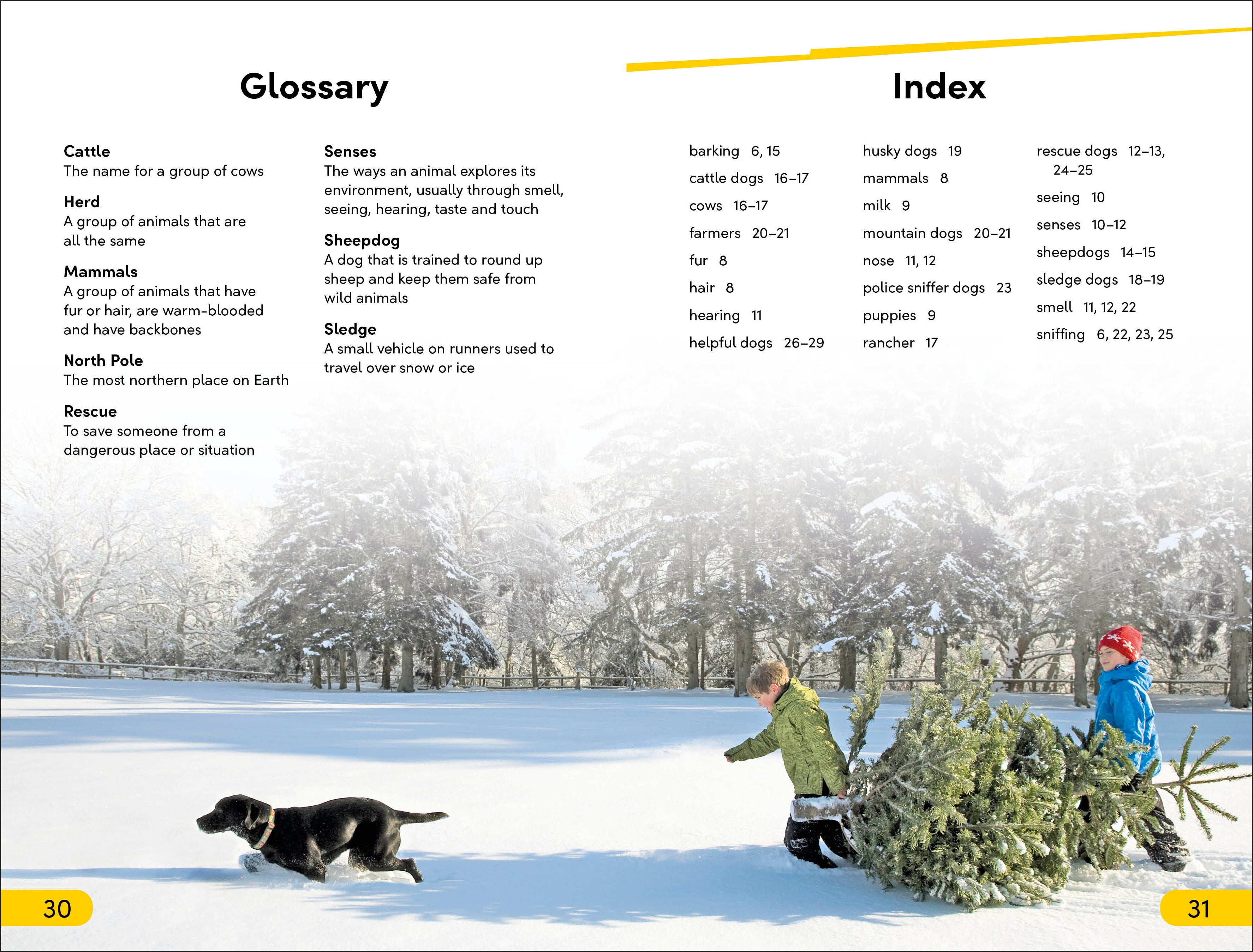 DK Super Readers Level 2 Amazing Dogs