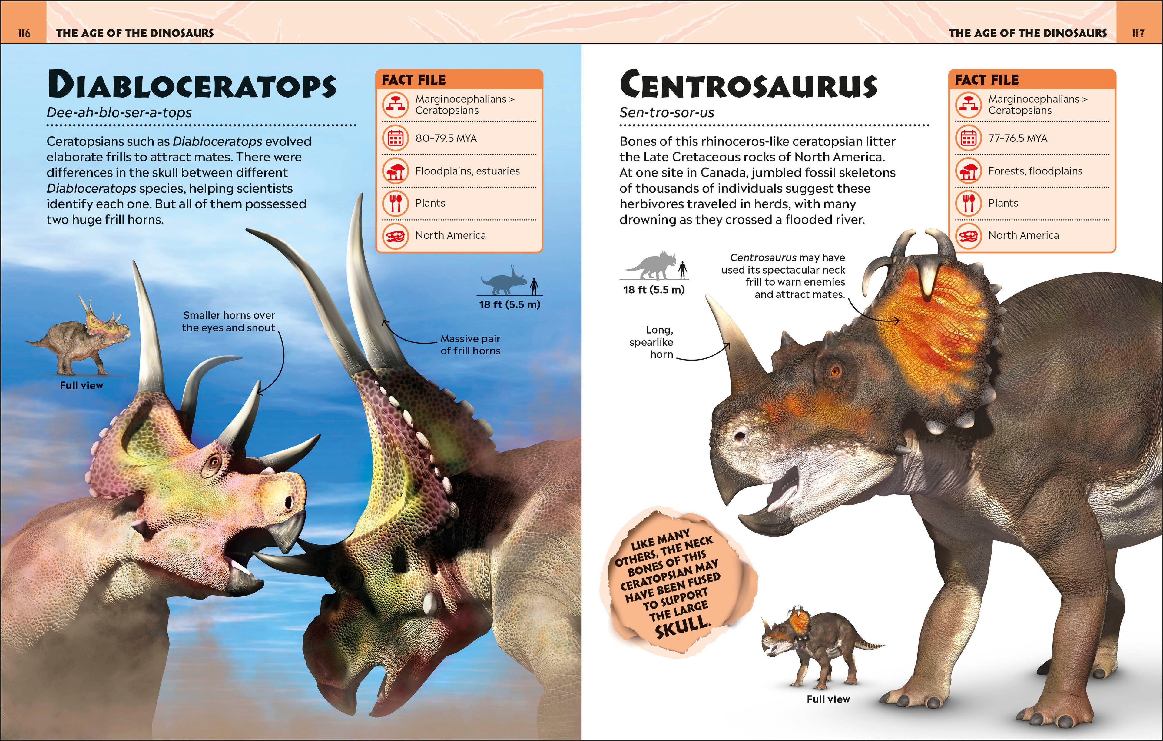 Extraordinary Dinosaurs and Other Prehistoric Life Visual Encyclopedia-Spread, Image, (PRHC, Design, Do, Not, Use)-4
