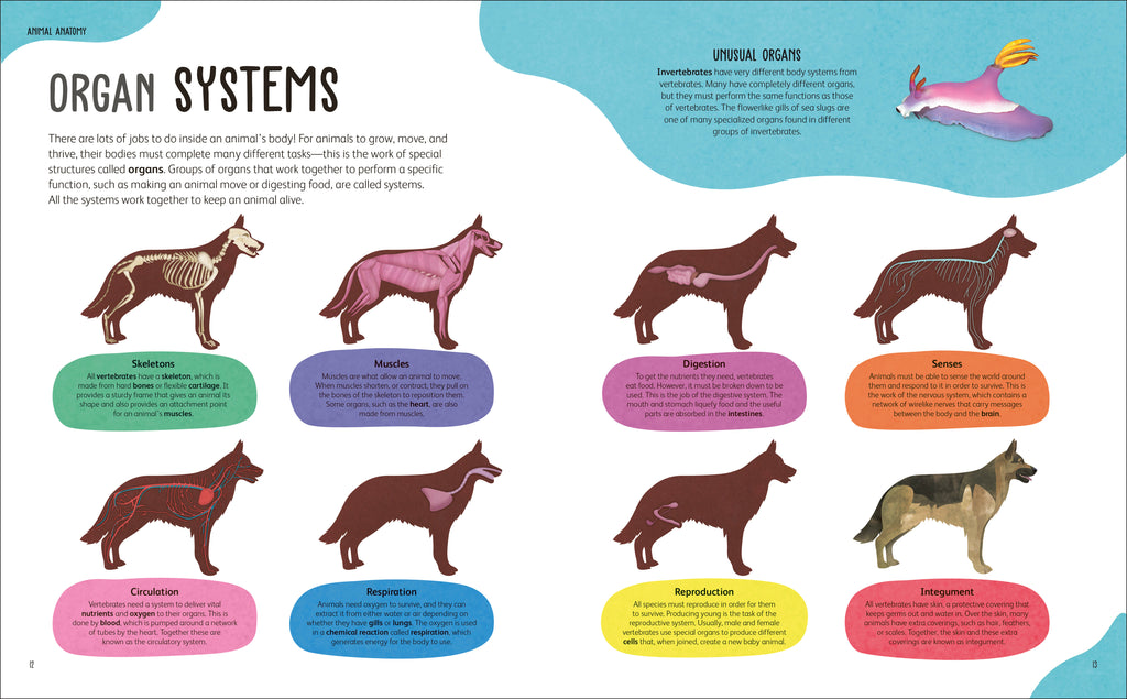 The Animal Body Book-Spread, Image, (PRHC, Design, Do, Not, Use)-17