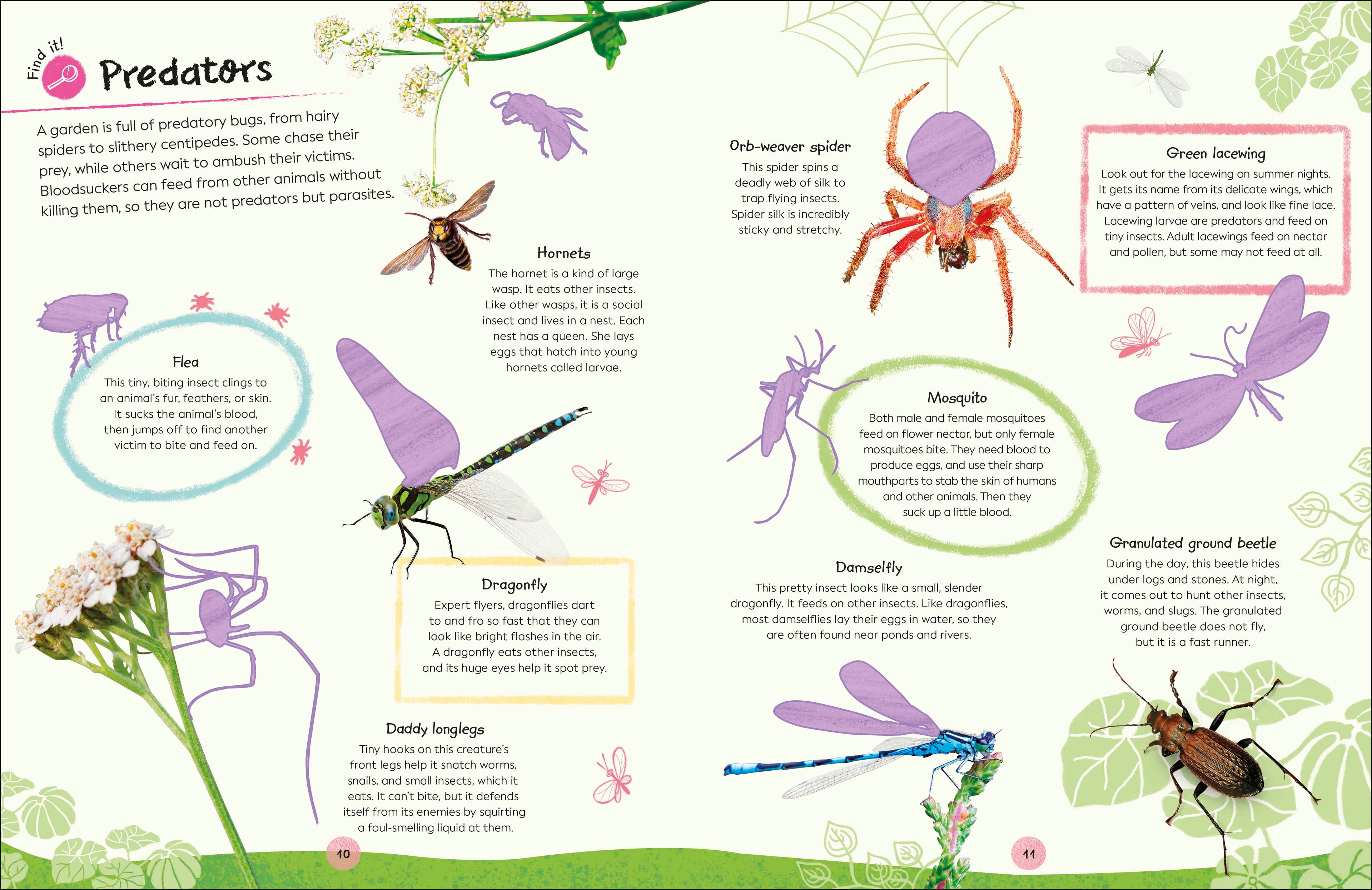 Ultimate Sticker Book Garden Bugs-Spread, Image, (PRHC, Design, Do, Not, Use)-8