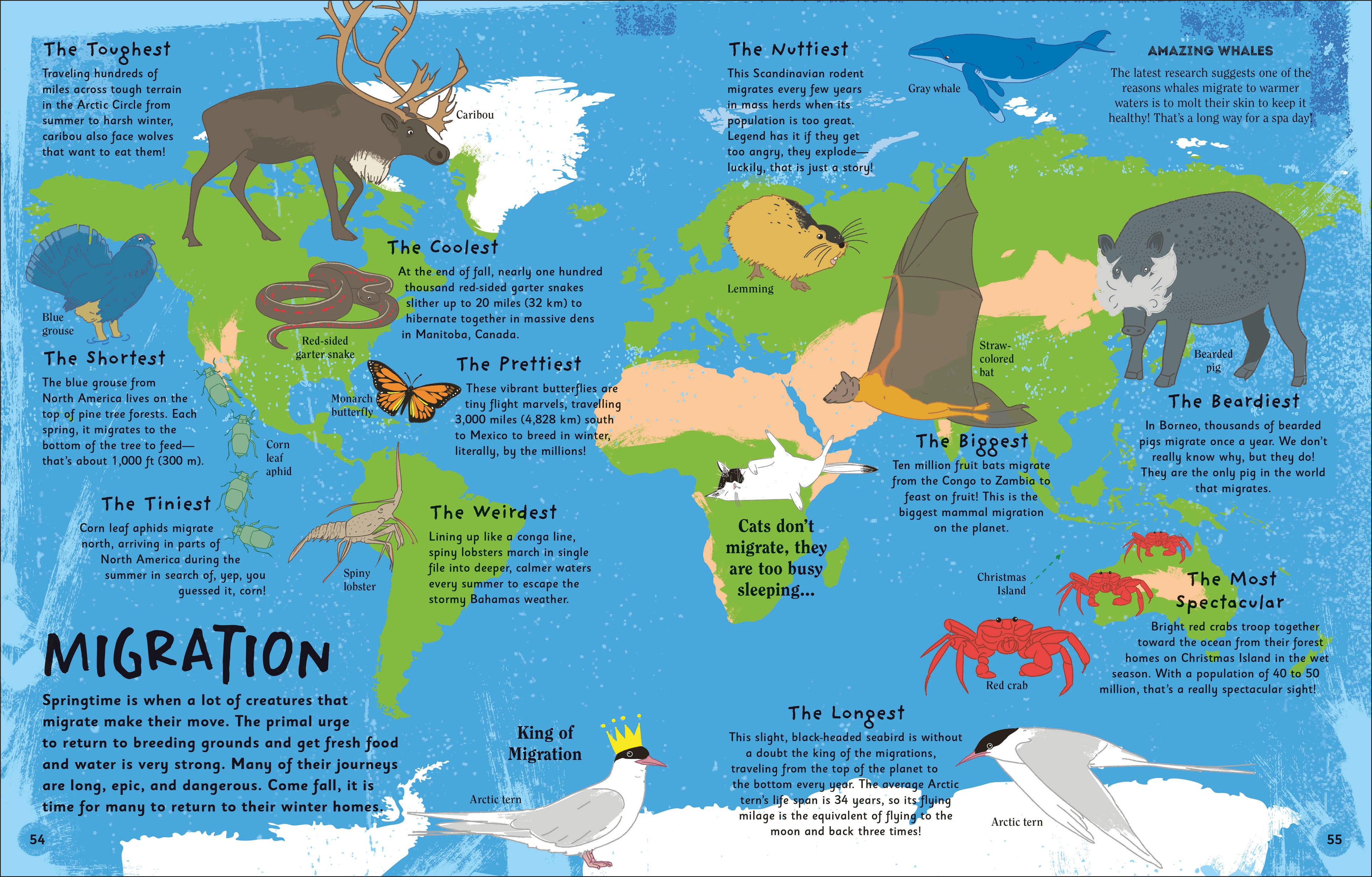 The Magic of Seasons-Spread, Image, (PRHC, Design, Do, Not, Use)-5