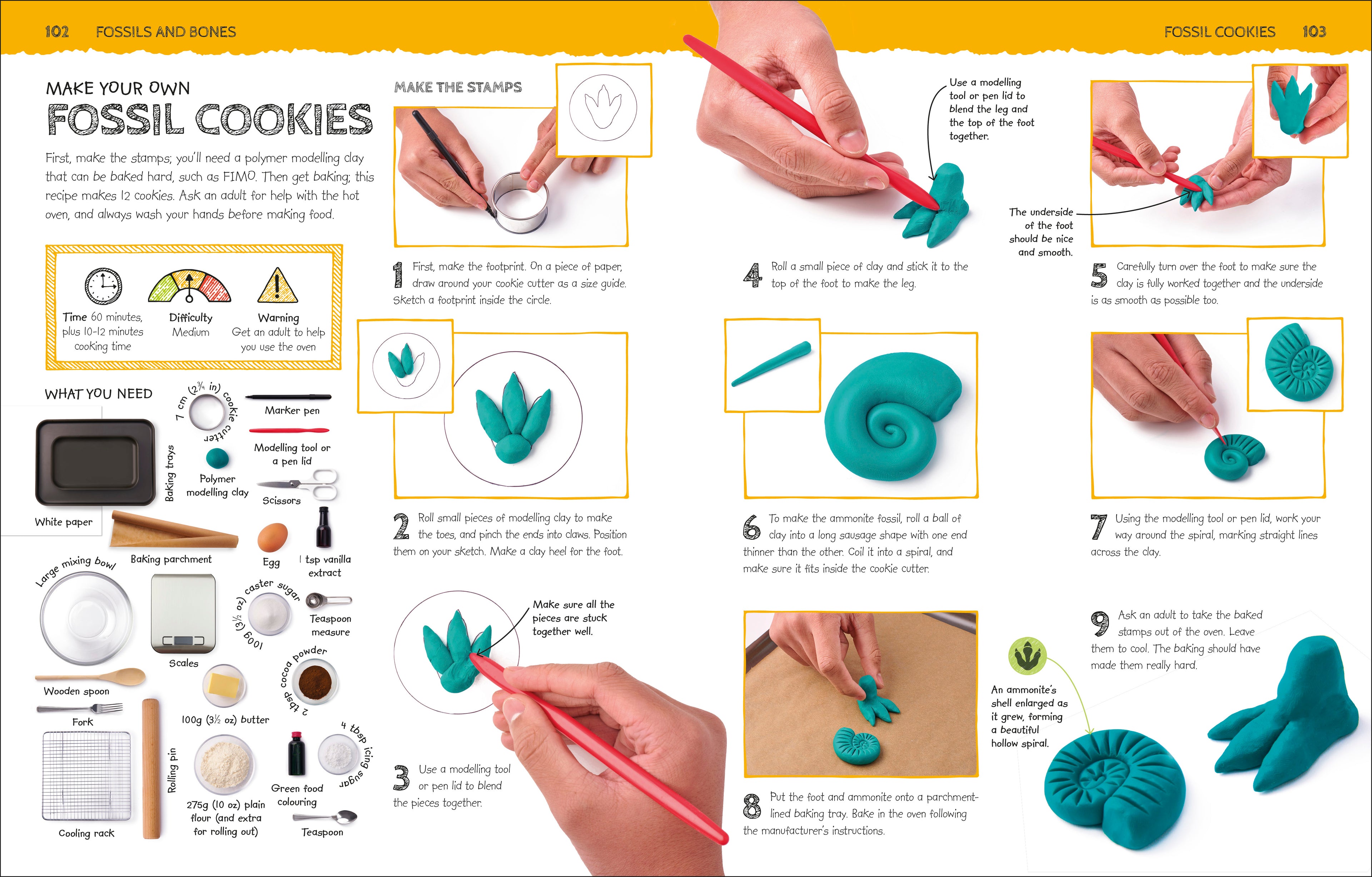 Dinosaur Activity Lab-Spread, Image, (PRHC, Design, Do, Not, Use)-10