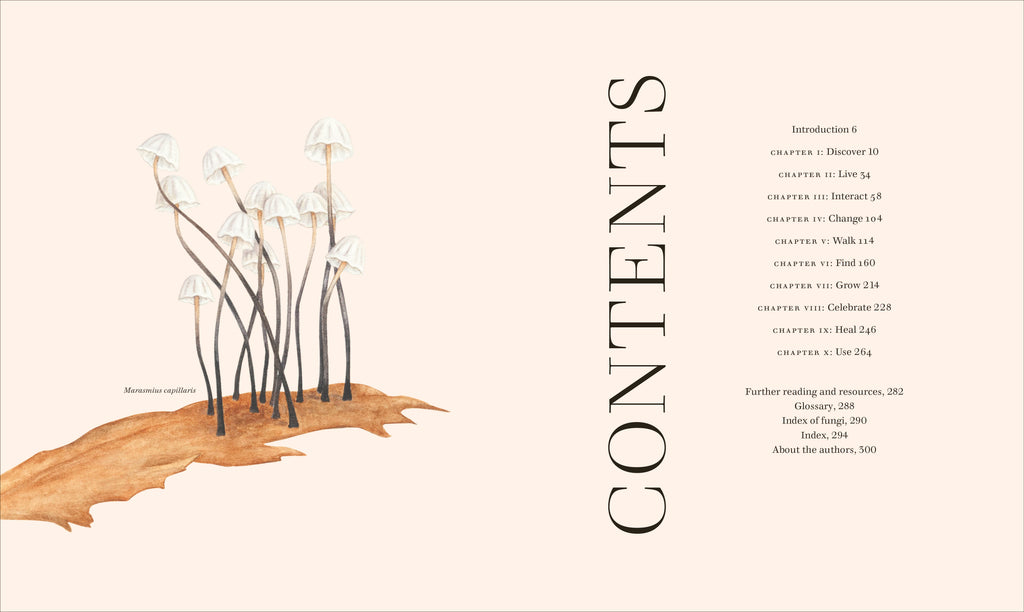 Fungi-Spread, Image, (PRHC, Design, Do, Not, Use)-1