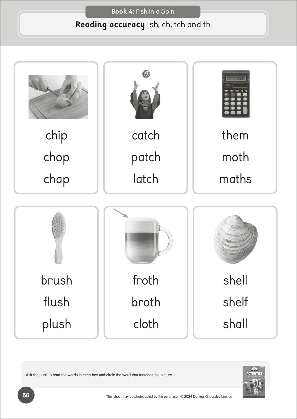 Phonic Books Pet Sitters Activities