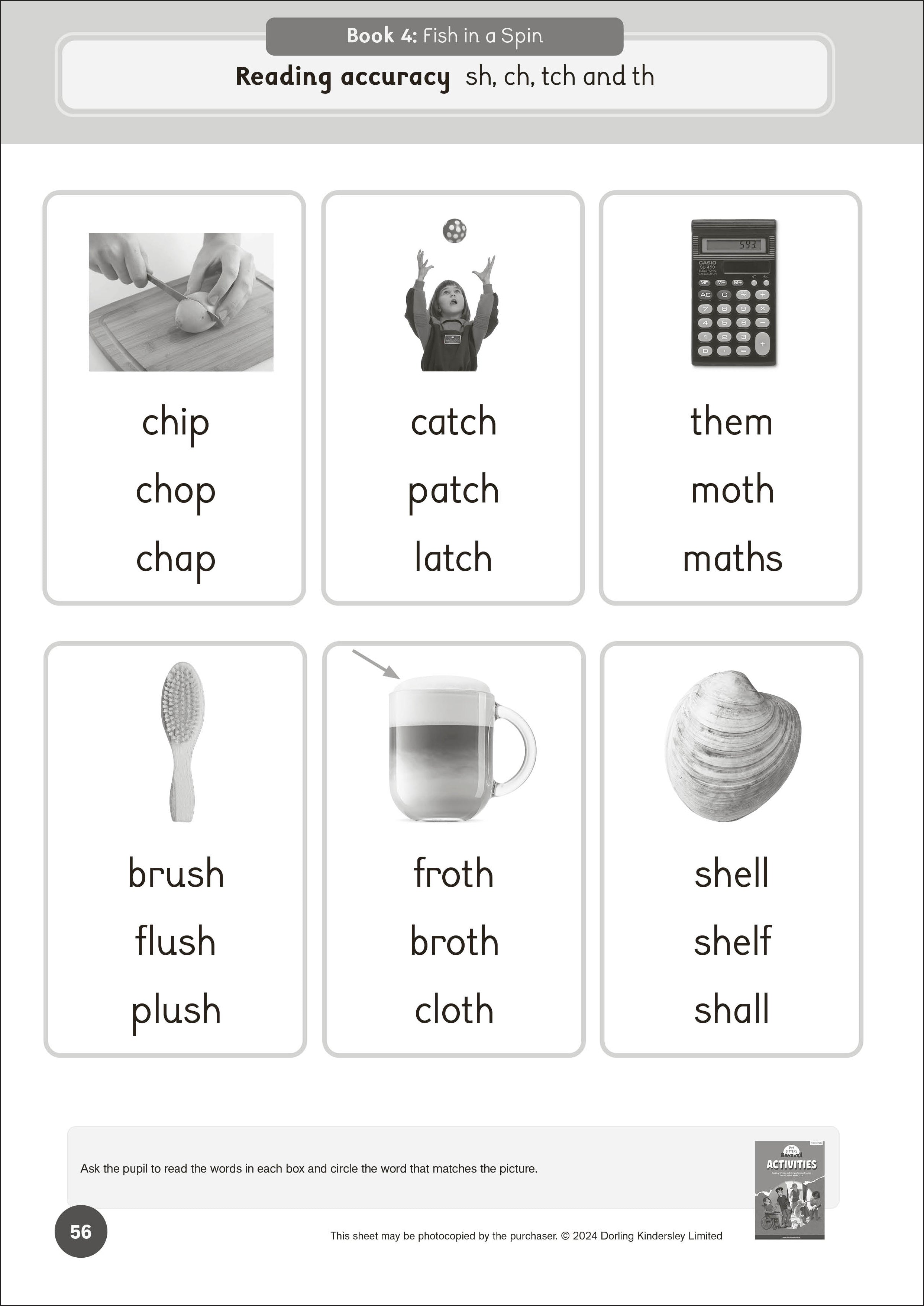 Phonic Books Pet Sitters Activities
