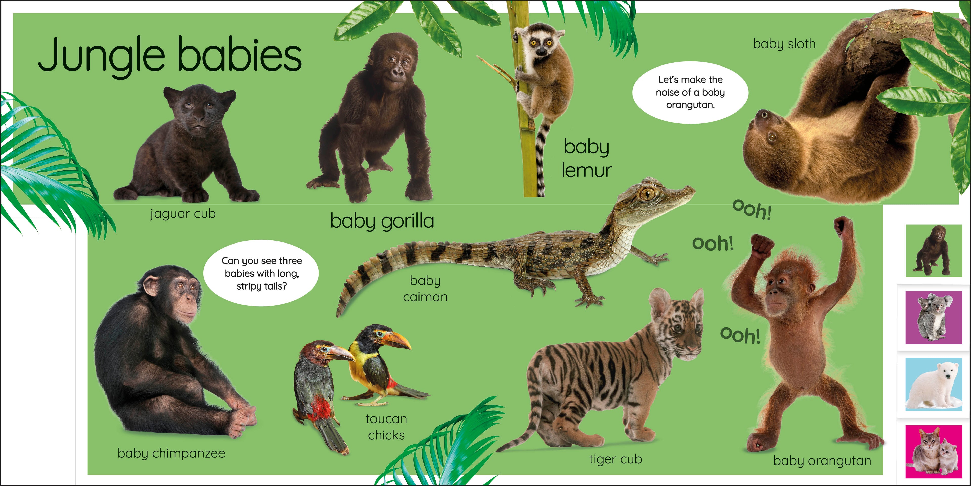 My First Baby Animals: Let's Find Our Favourites!