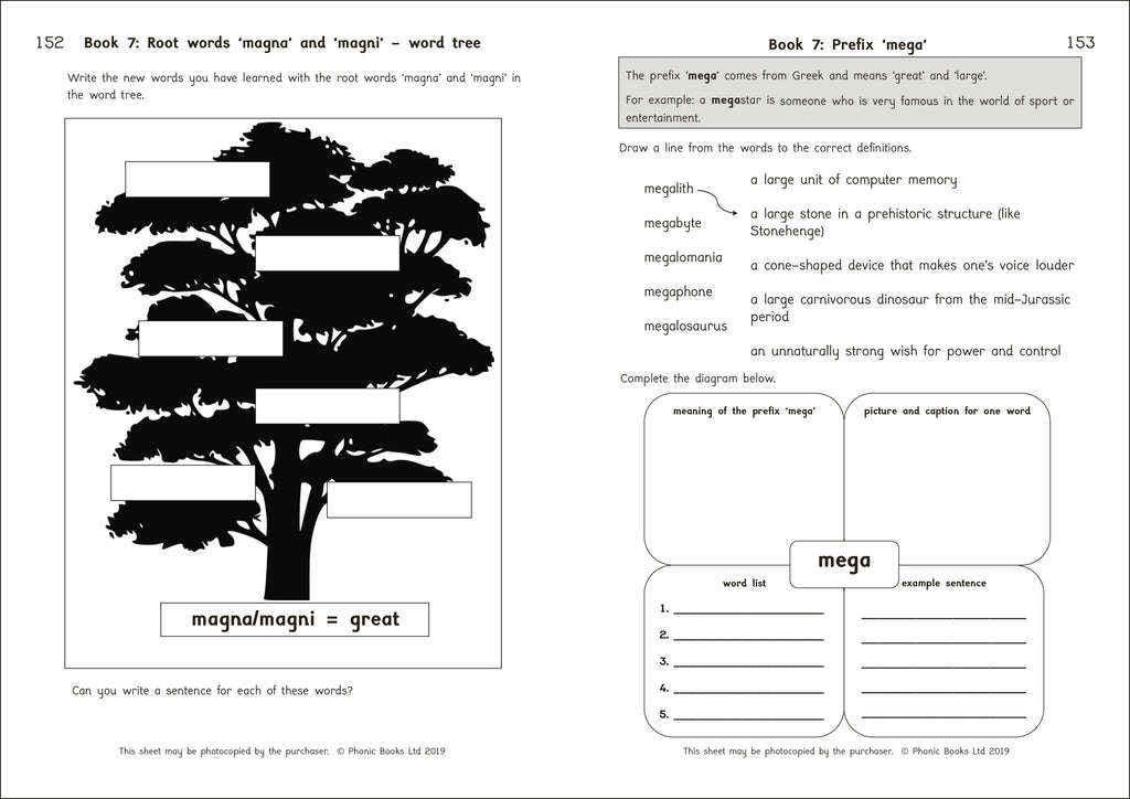 Phonic Books Amber Guardians Activities