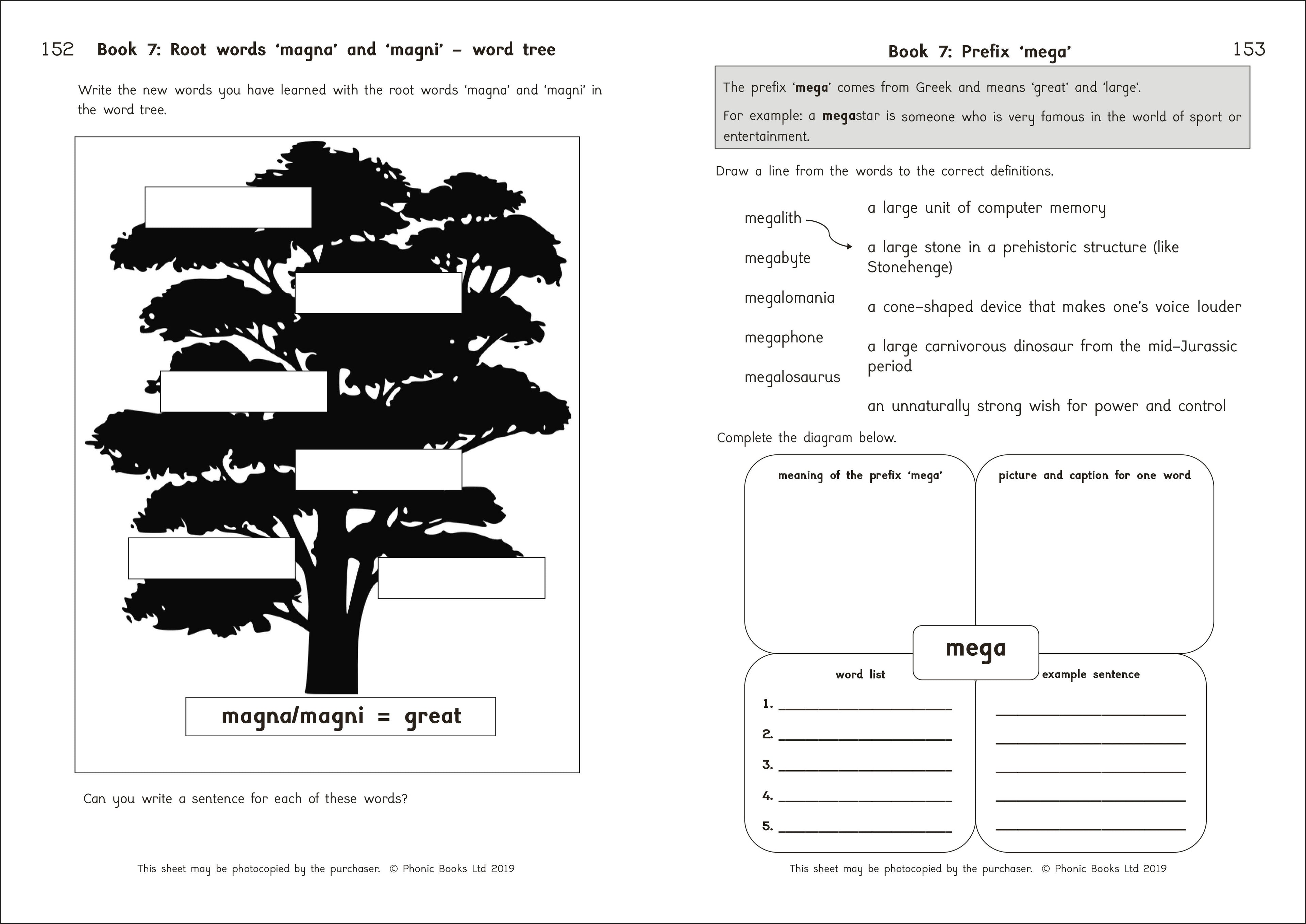 Phonic Books Amber Guardians Activities