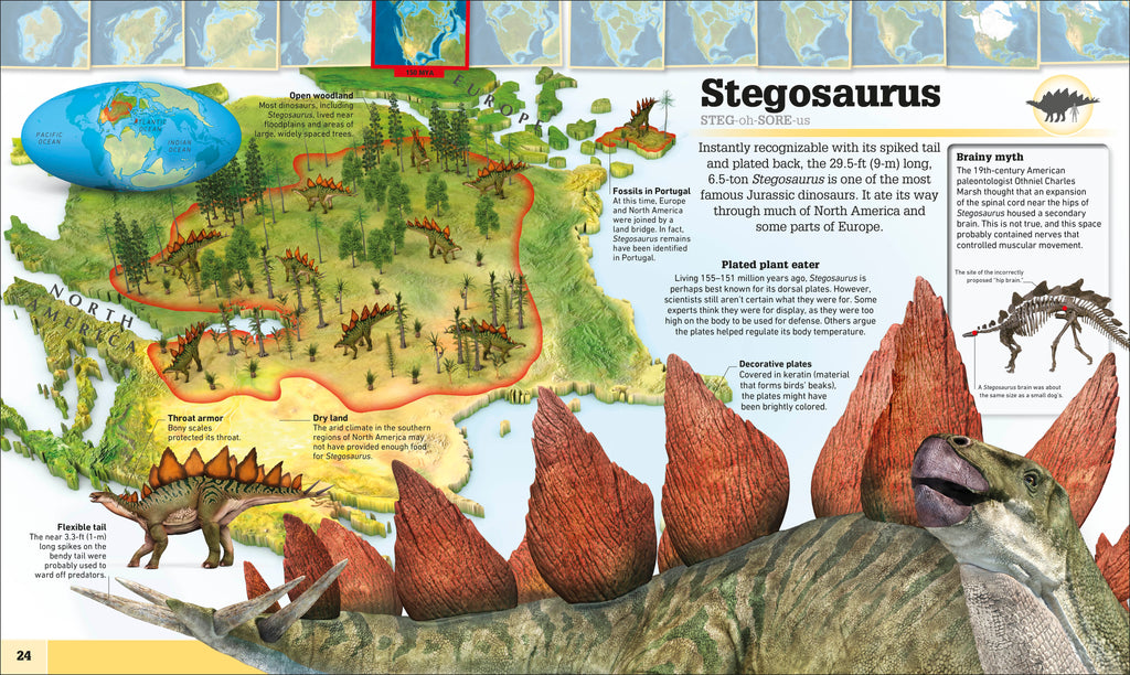 Where on Earth? Dinosaurs and Other Prehistoric Life