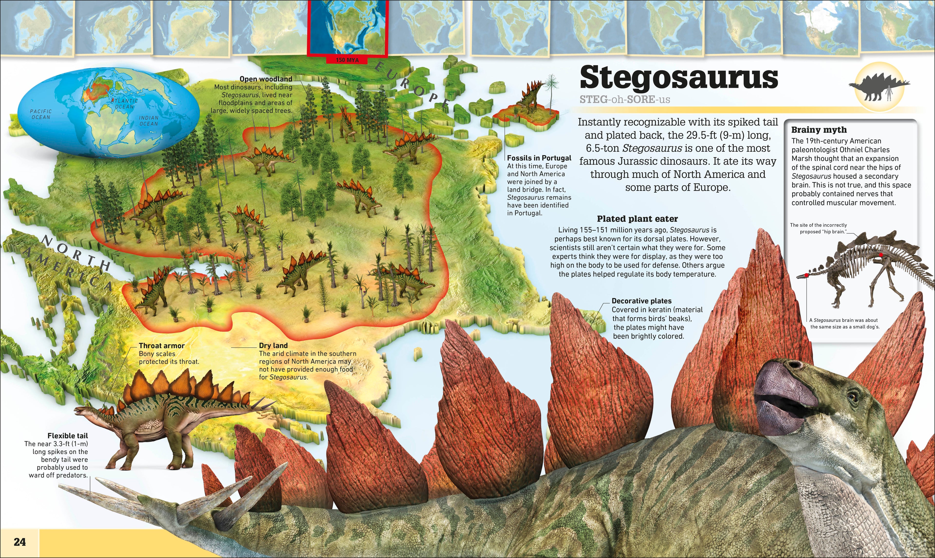 Where on Earth? Dinosaurs and Other Prehistoric Life