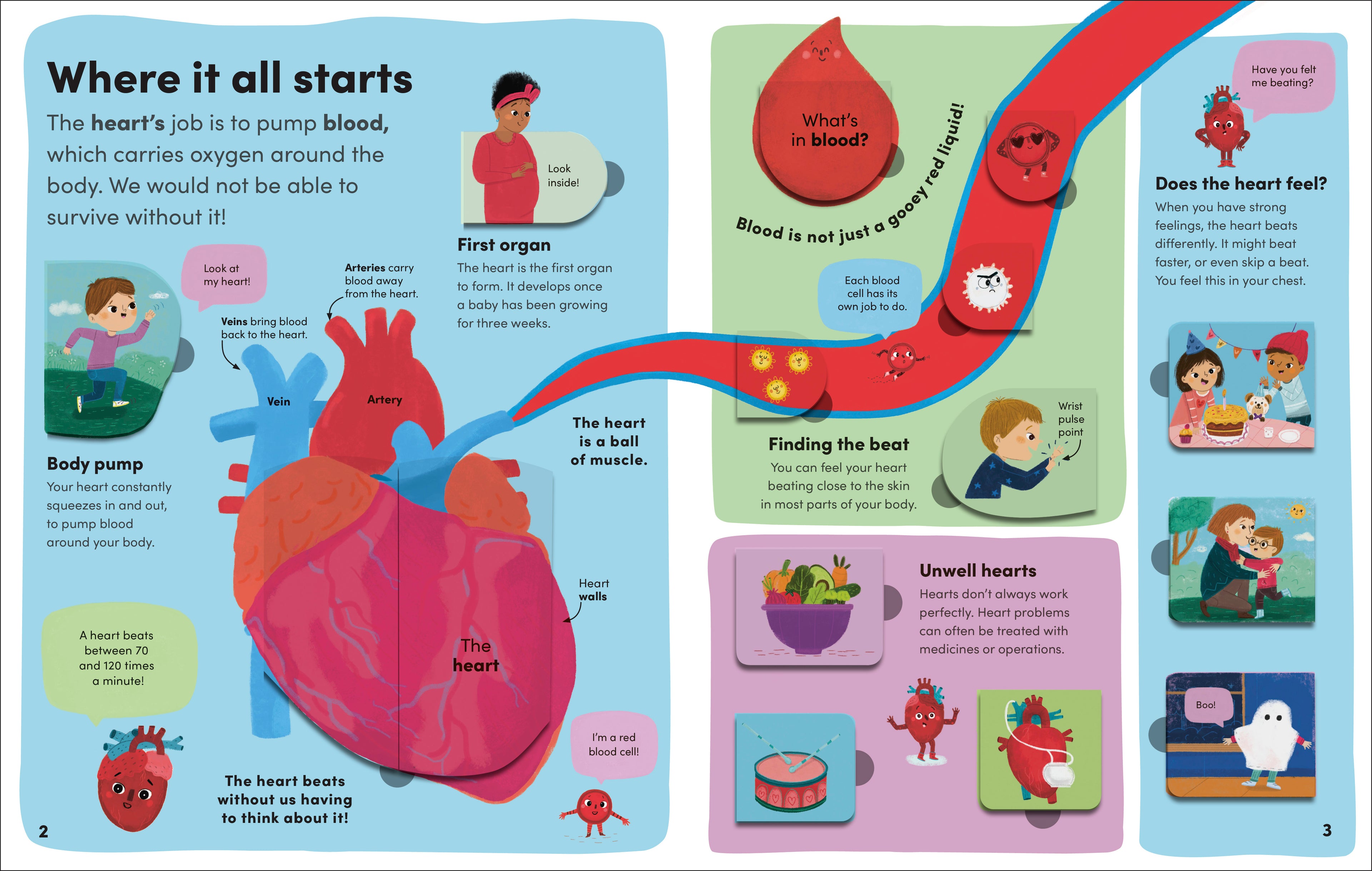 You and Your Body-Spread, Image, (PRHC, Design, Do, Not, Use)-1