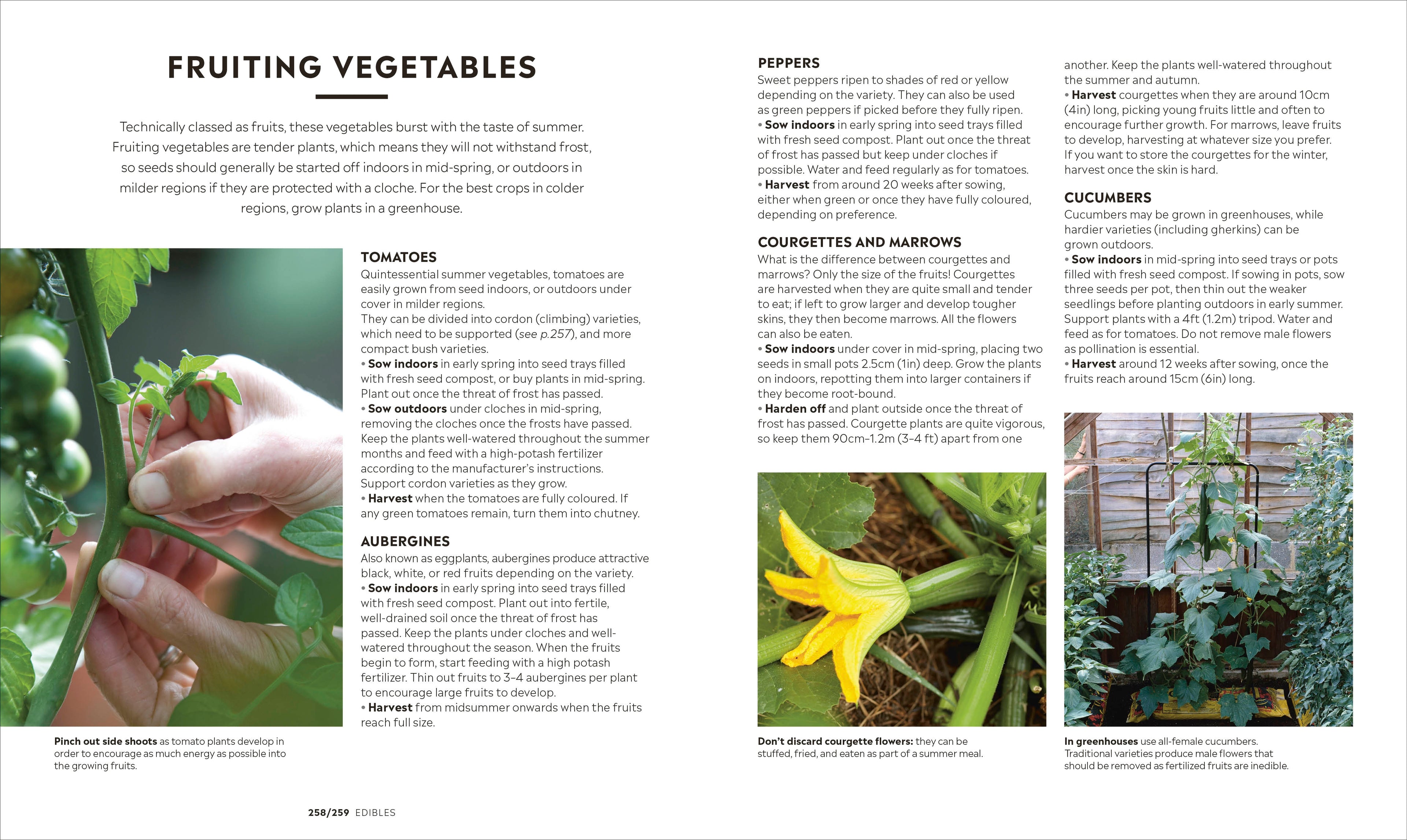 RHS How to Garden New Edition