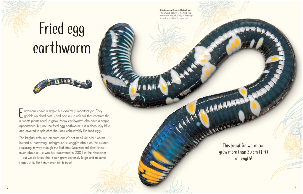 An Anthology of Remarkable Bugs