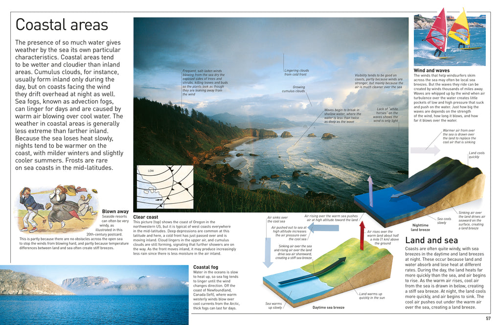 DK Eyewitness Books: Weather