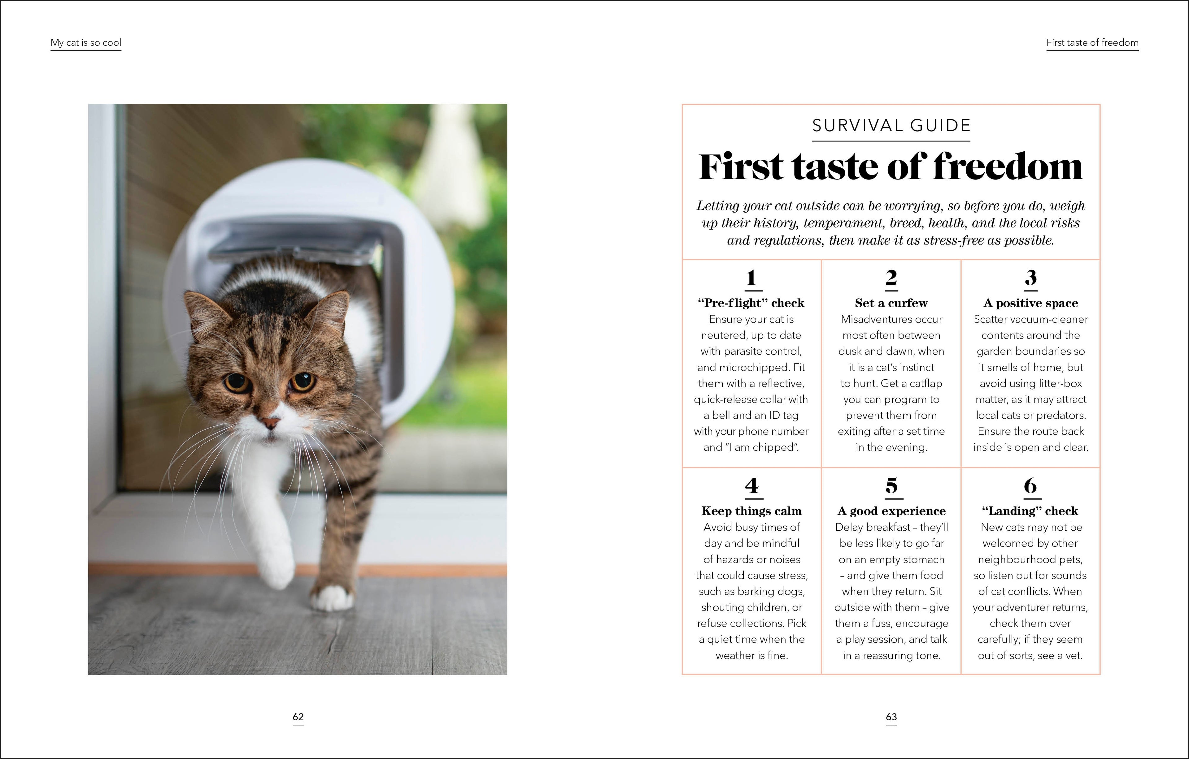 What's My Cat Thinking?