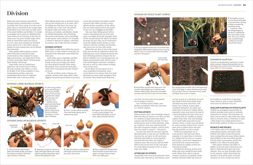 Propagating Plants-Spread, Image, (PRHC, Design, Do, Not, Use)-4