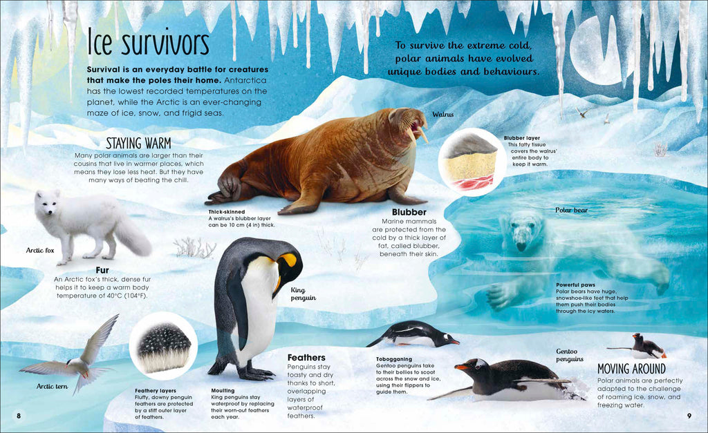 The Magic and Mystery of Nature Collection-Spread, Image, (PRHC, Design, Do, Not, Use)-2