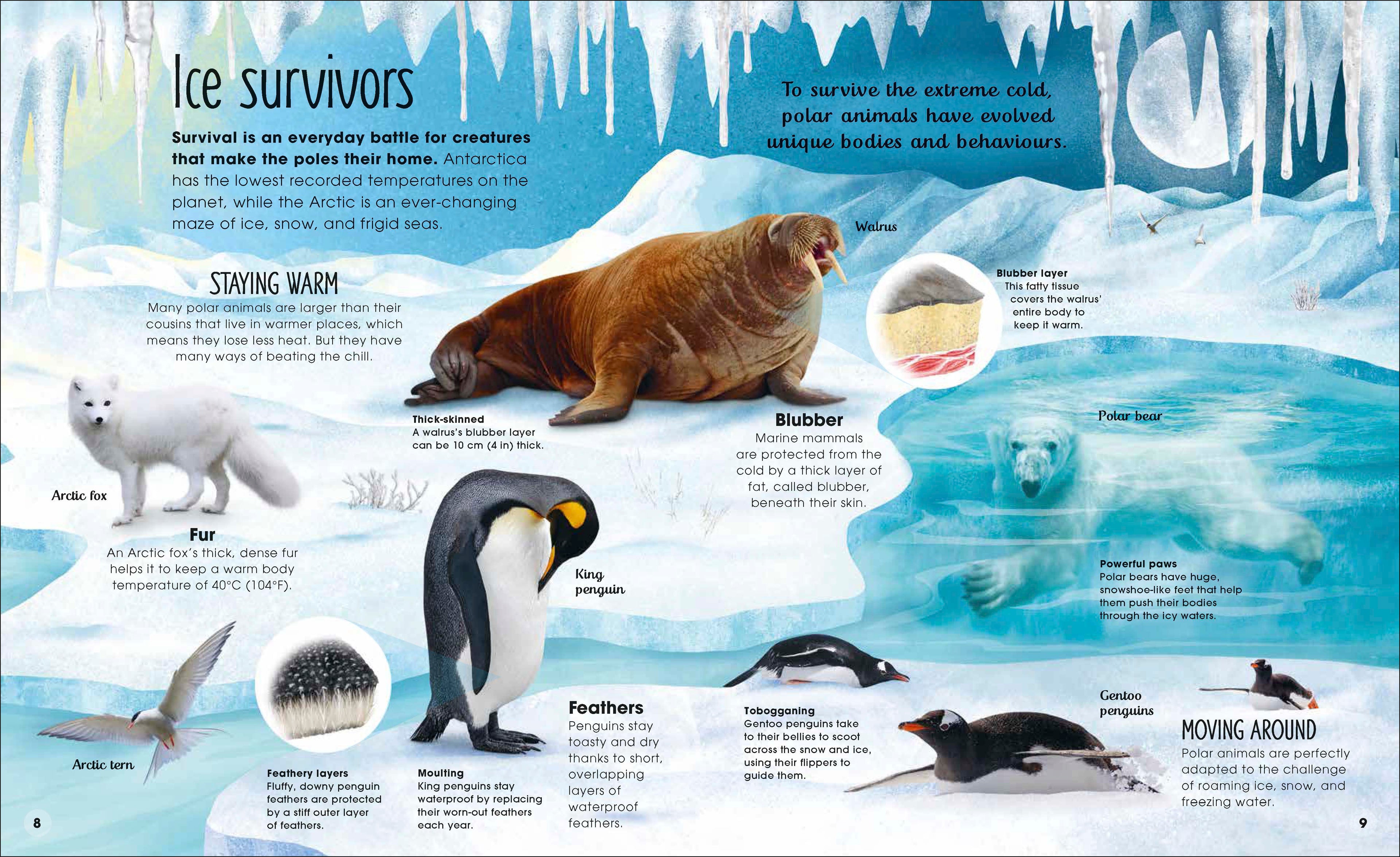 The Magic and Mystery of Nature Collection-Spread, Image, (PRHC, Design, Do, Not, Use)-2