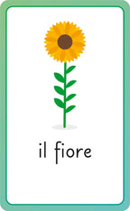 Italian for Everyone Junior First Words Flash Cards-image