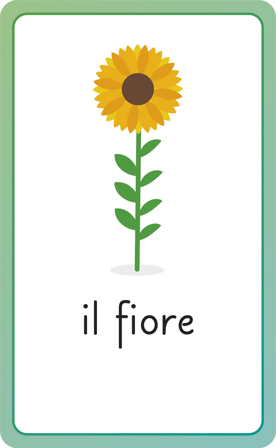 Italian for Everyone Junior First Words Flash Cards-image