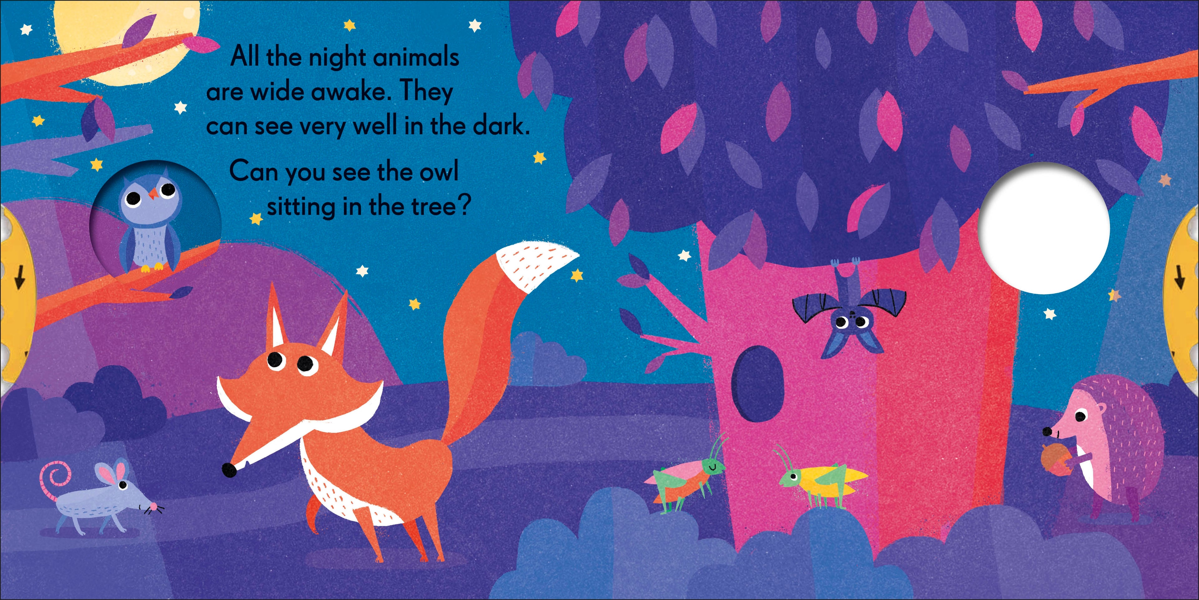 Spin and Spot: Moon and Stars