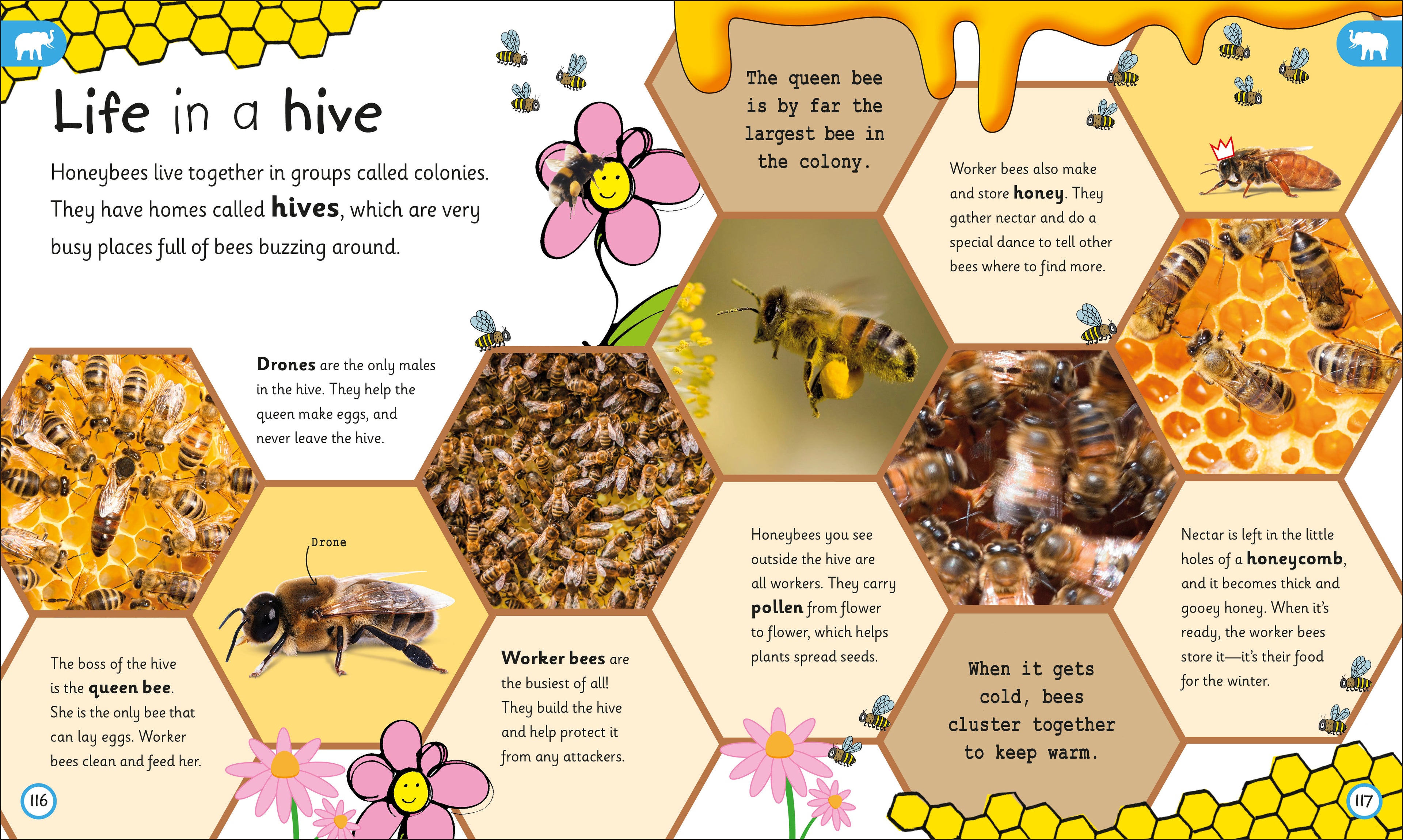 My Encyclopedia of Very Important Animals-Spread, Image, (PRHC, Design, Do, Not, Use)-4